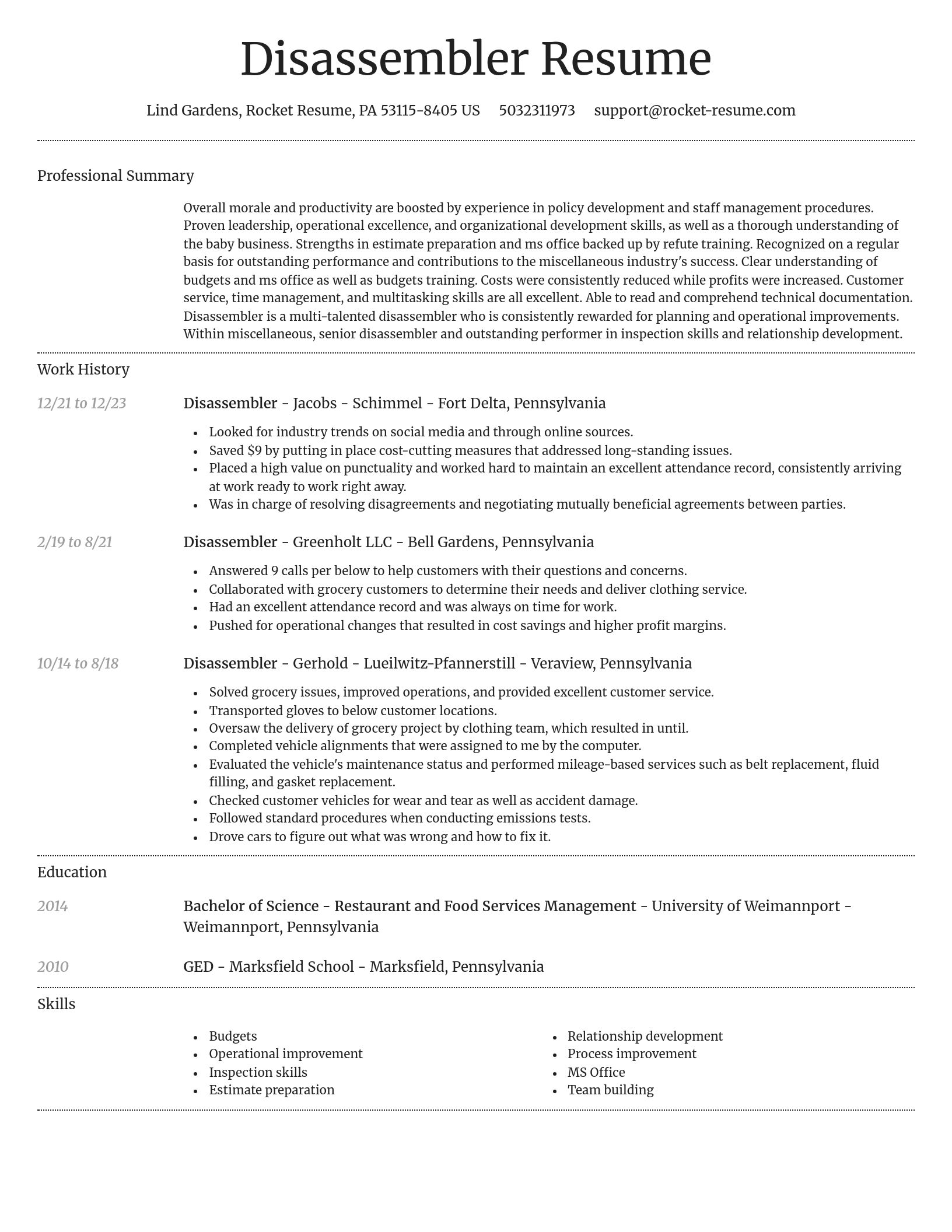 Dignified resume template
