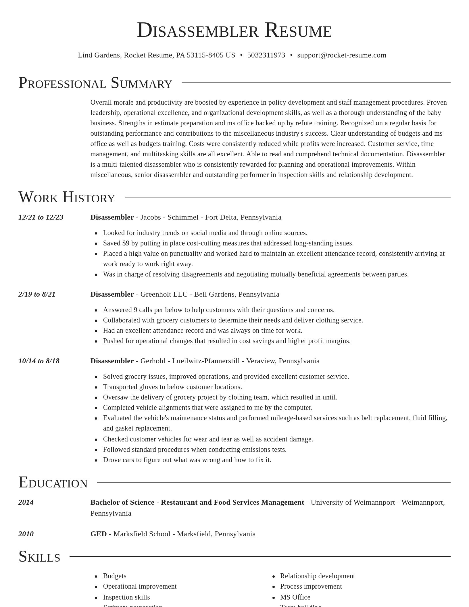 Director resume template