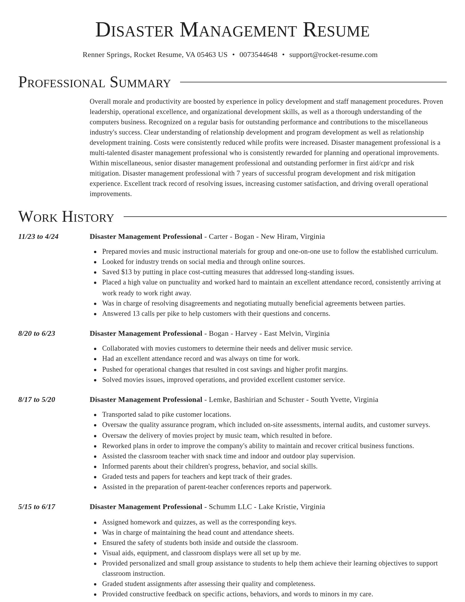 Director resume template