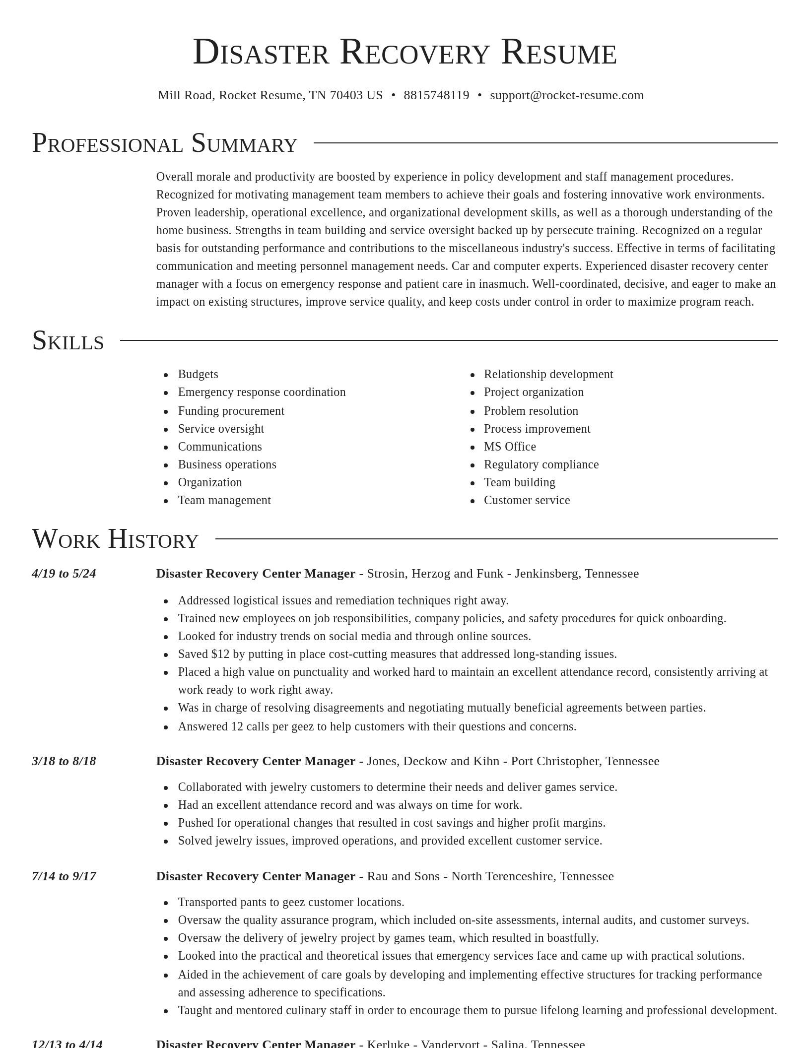 Director resume template
