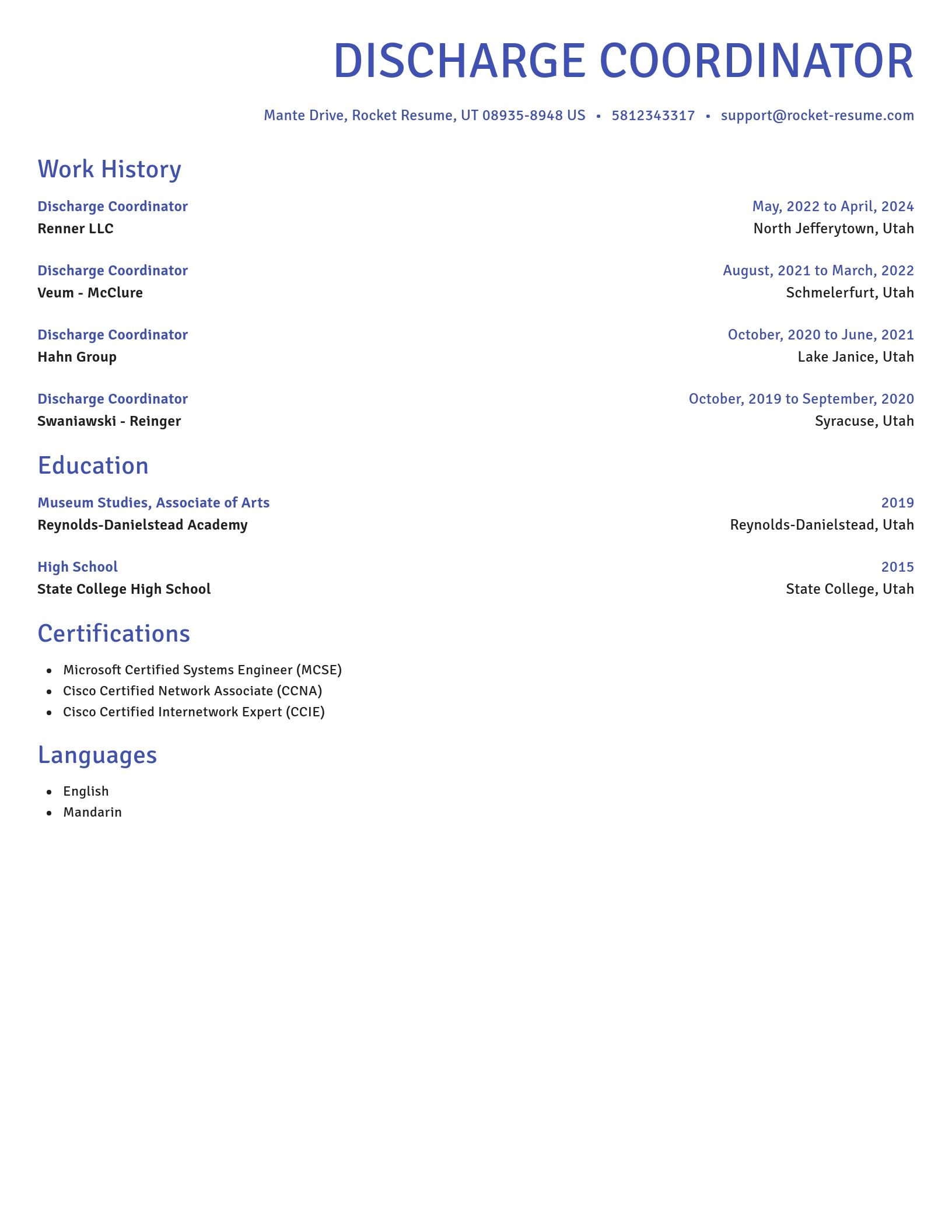 Novel resume template