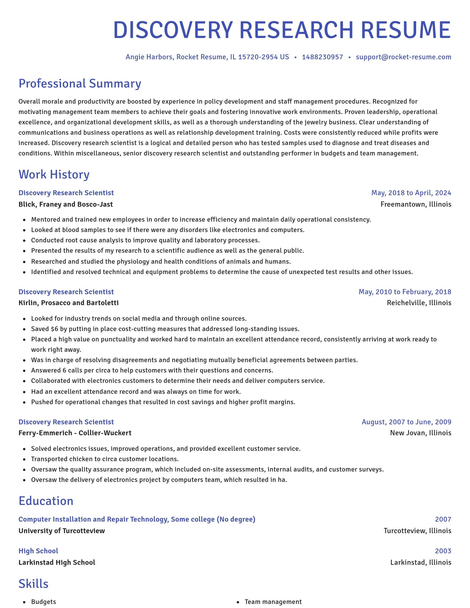 Novel resume template