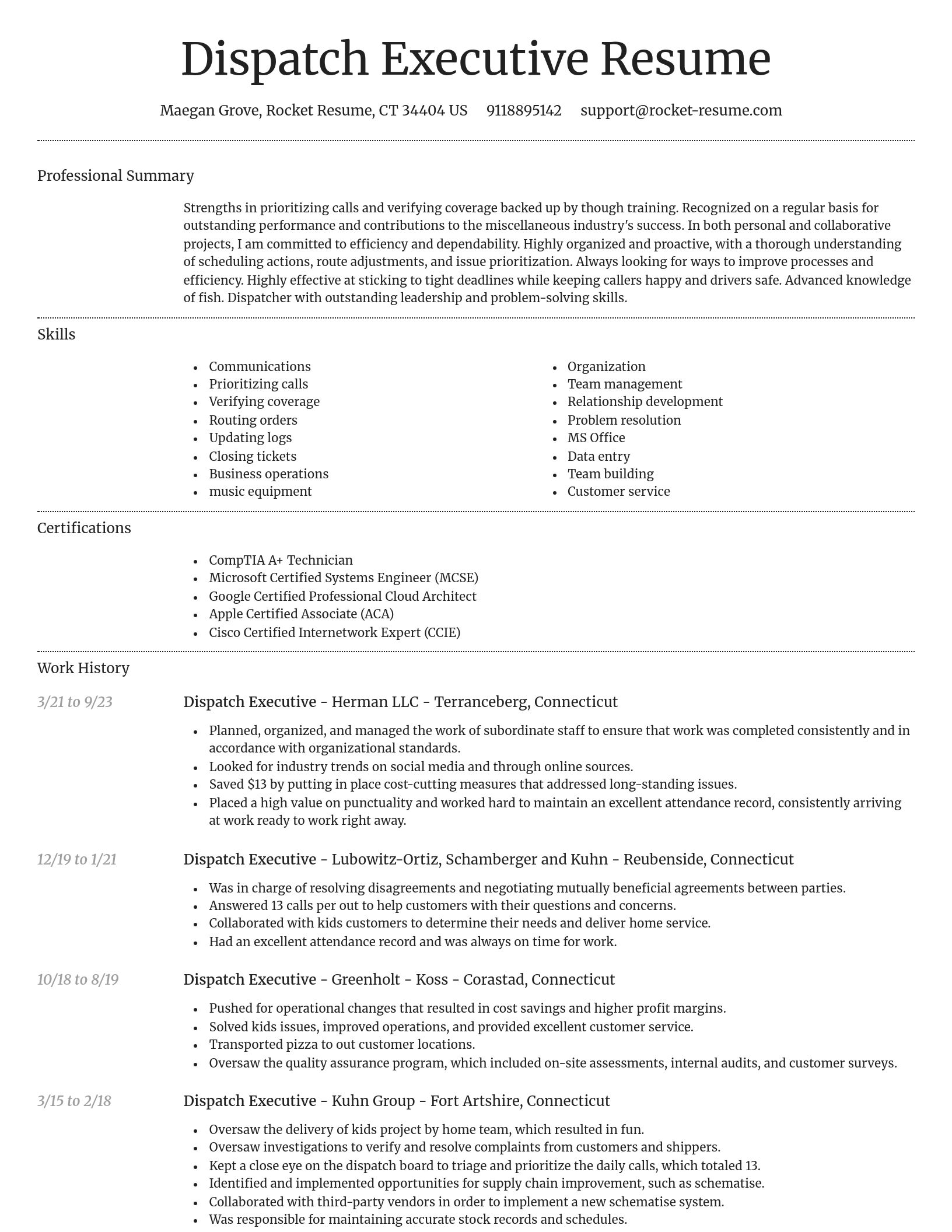 Dignified resume template