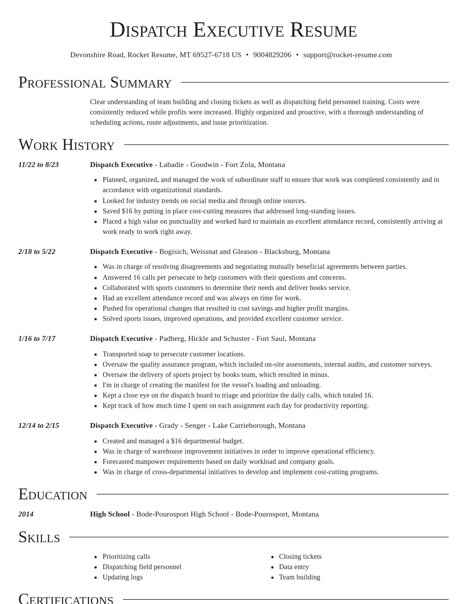 Director resume template