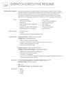 Dispatch Executive resume template
