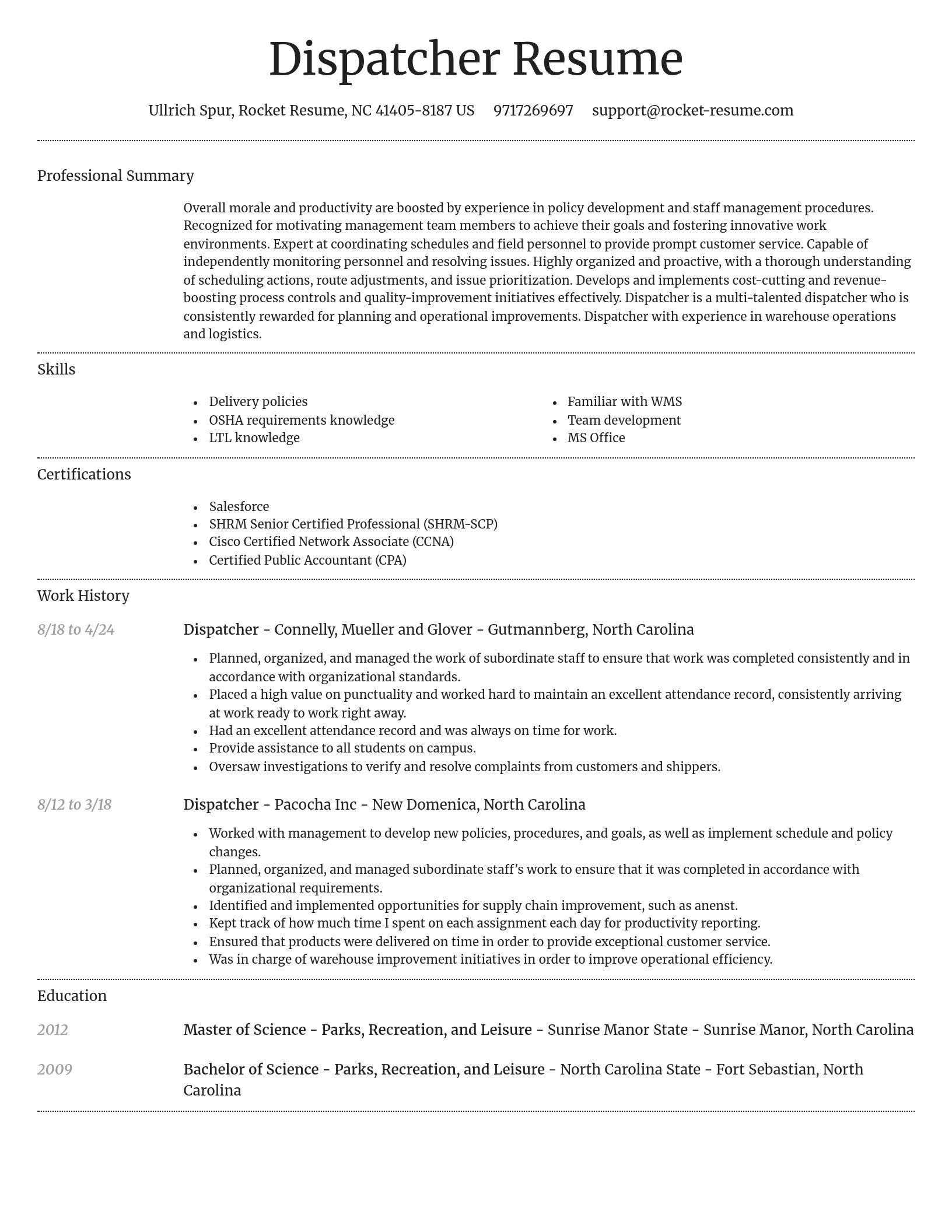 Dignified resume template
