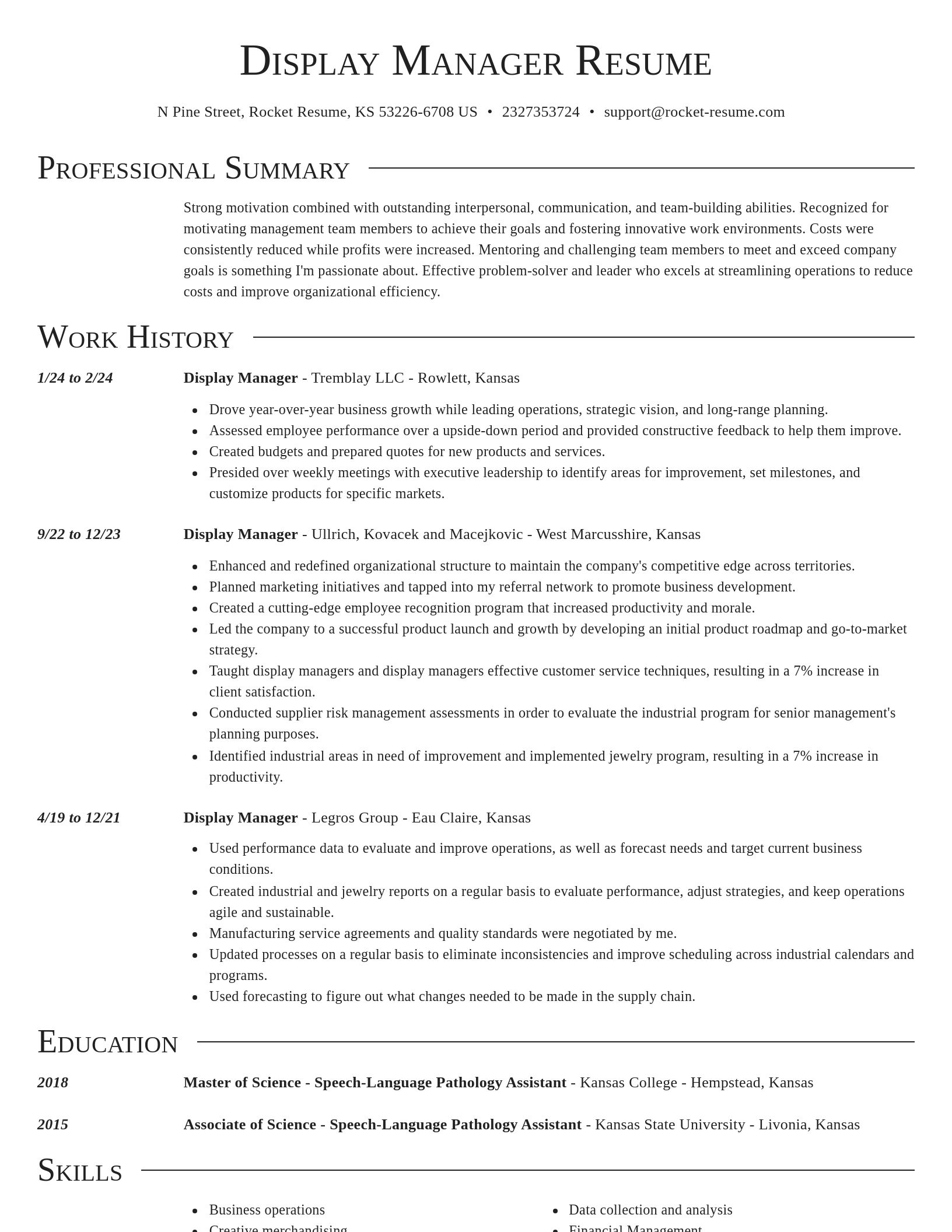 Director resume template