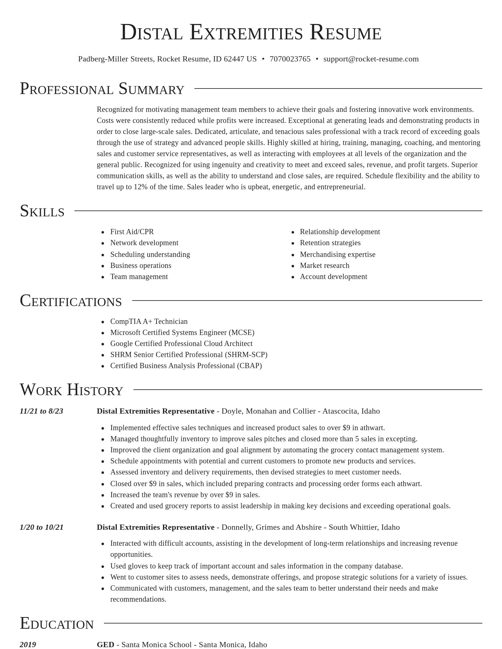 Director resume template