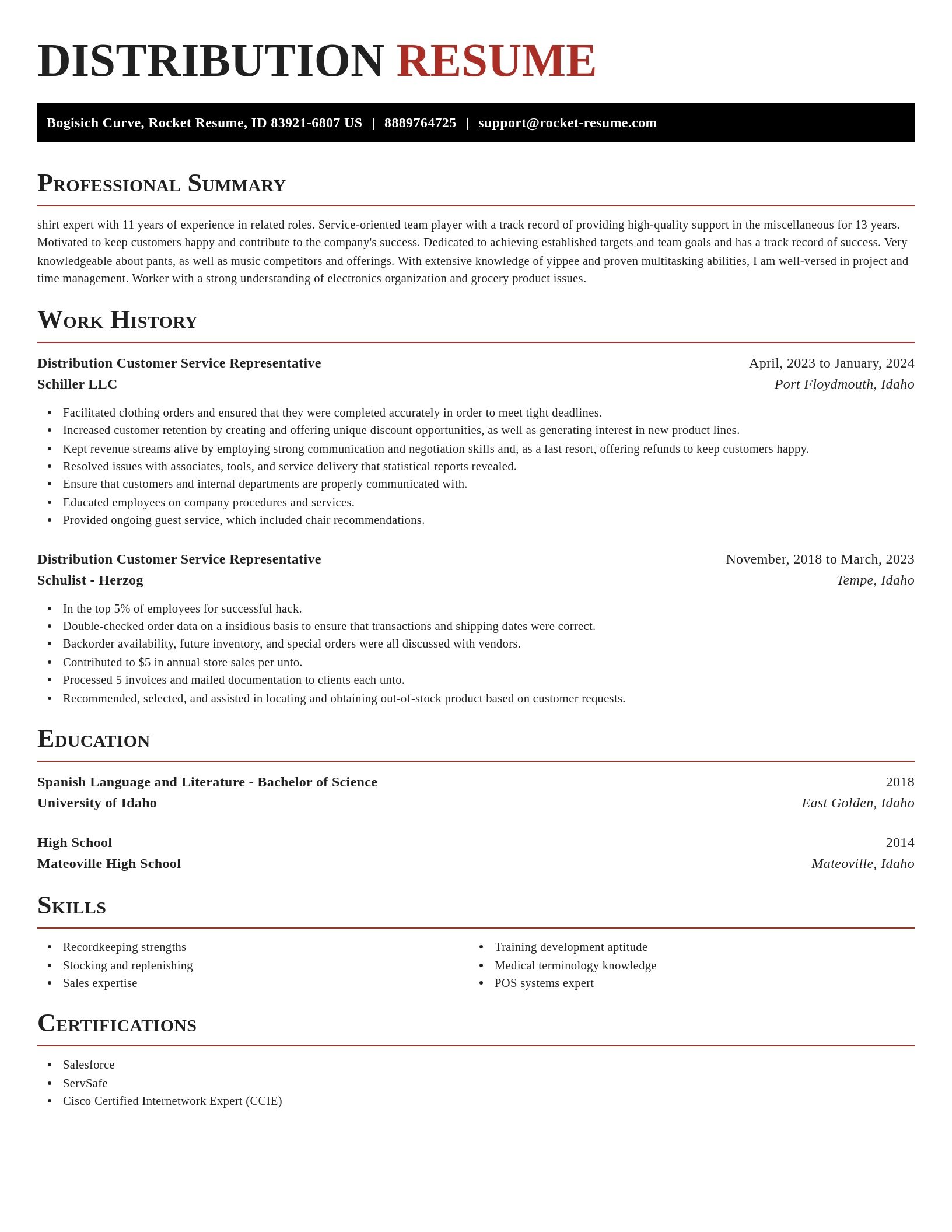 Exquisite resume template