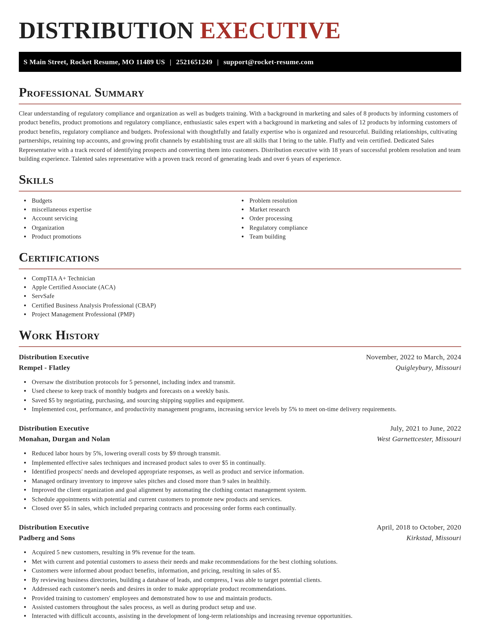 Exquisite resume template