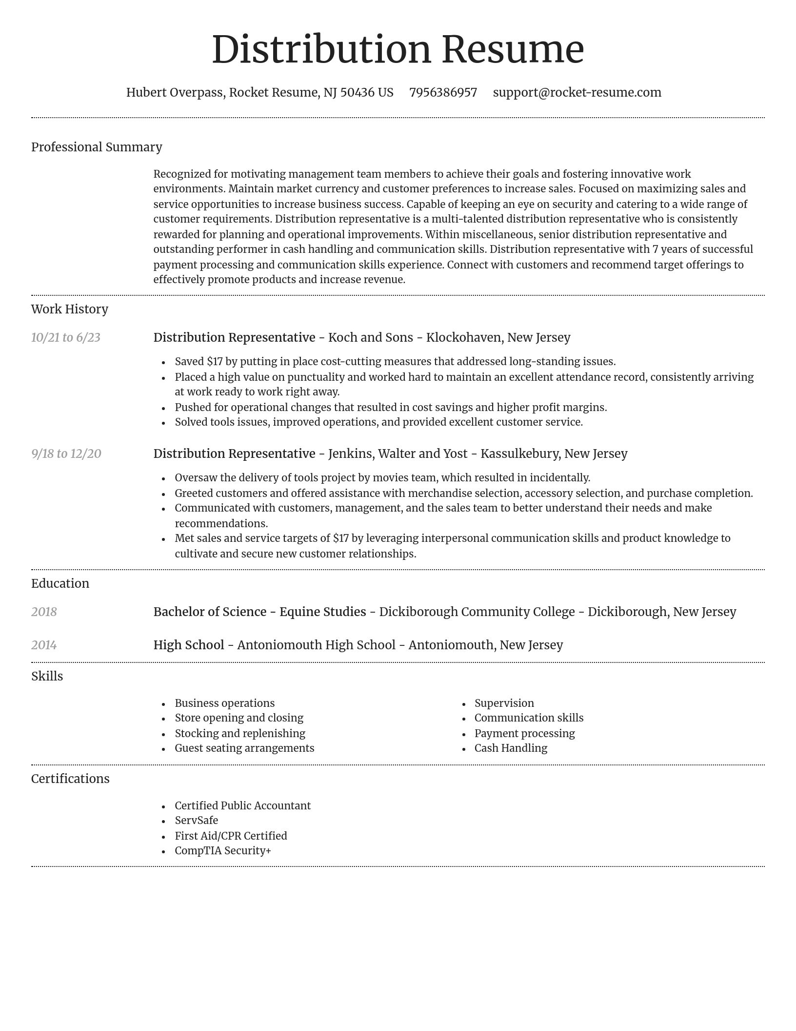 Dignified resume template
