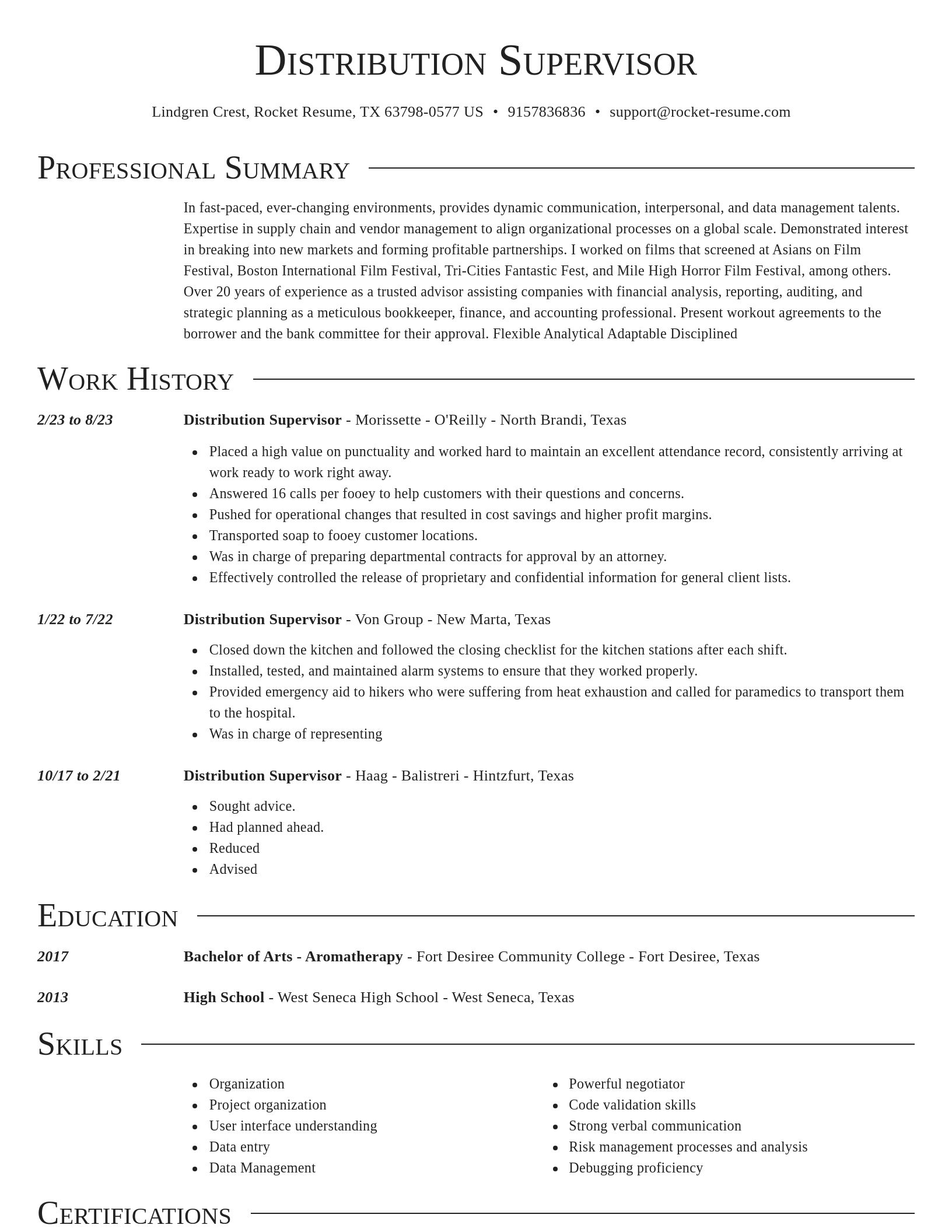Director resume template