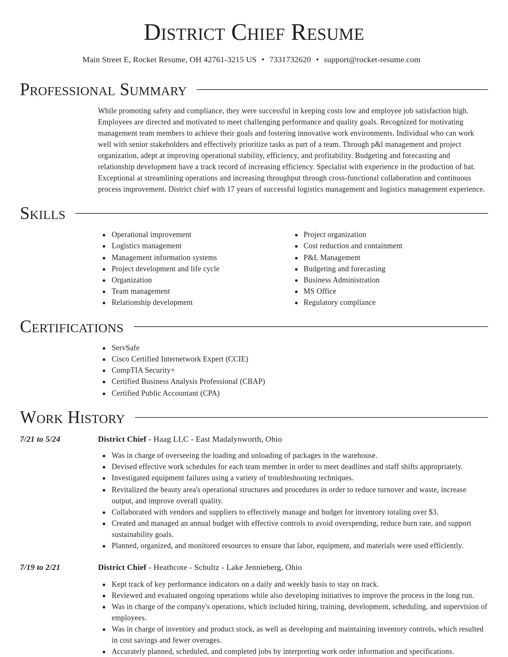 Director resume template