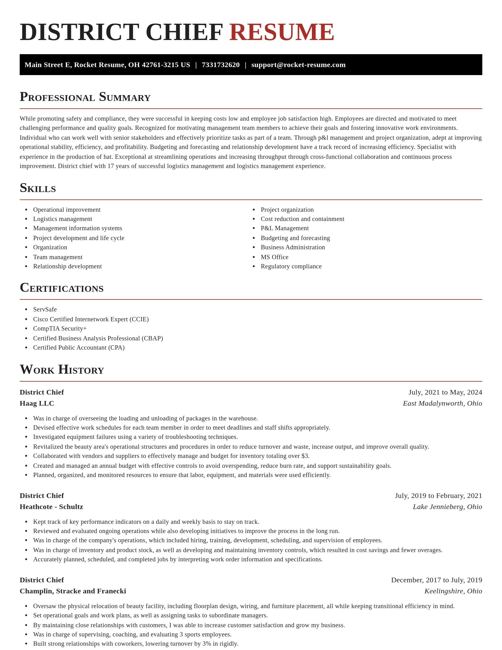 Exquisite resume template