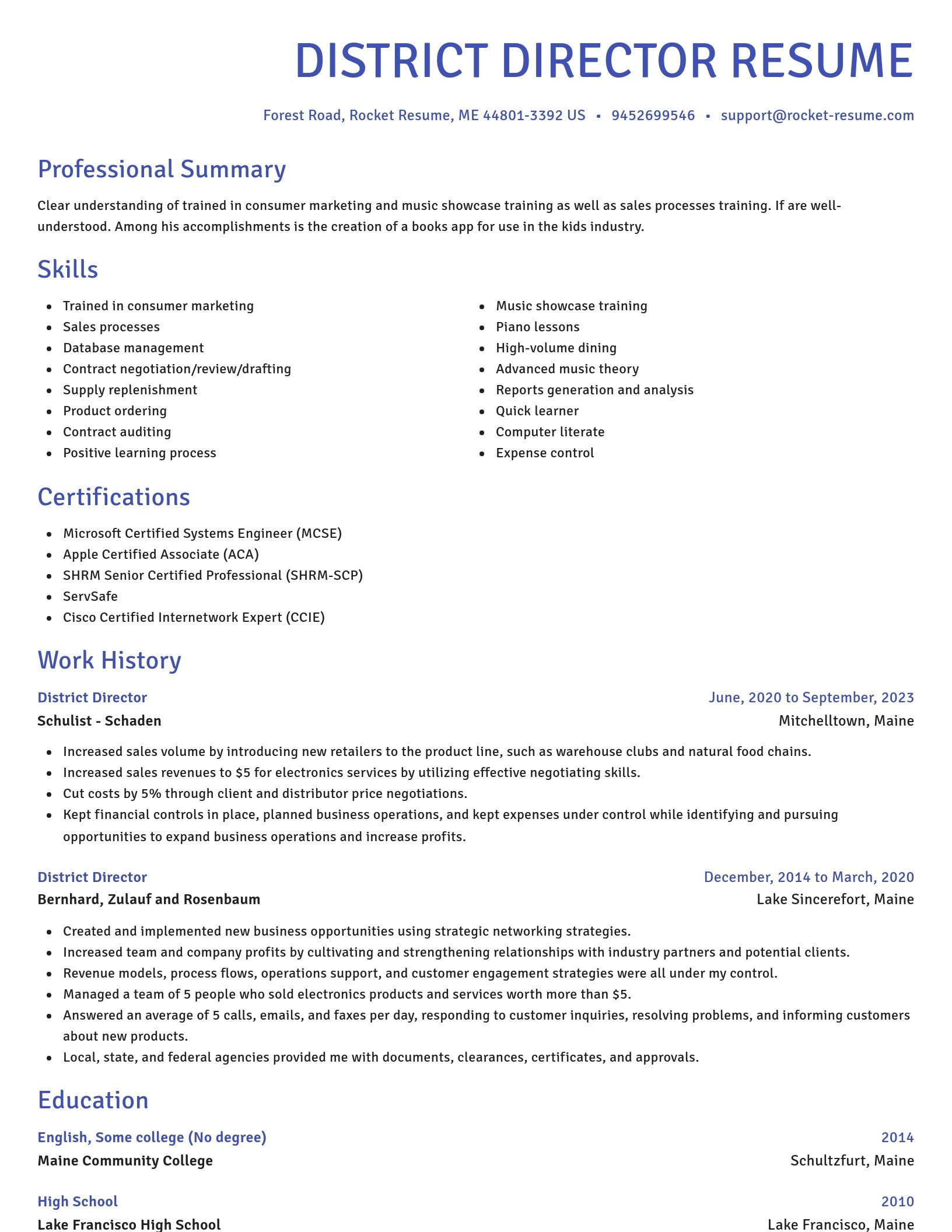 Novel resume template
