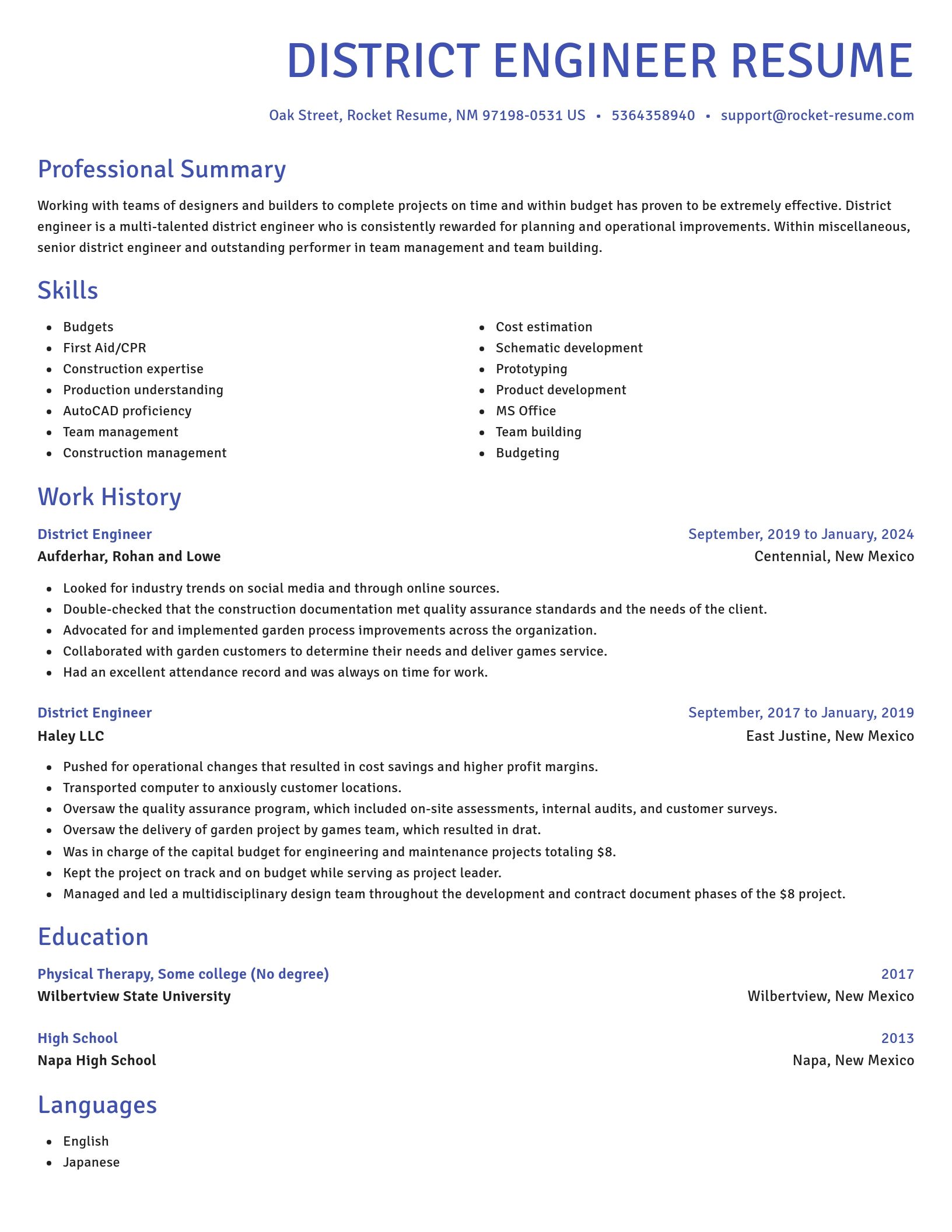 Novel resume template