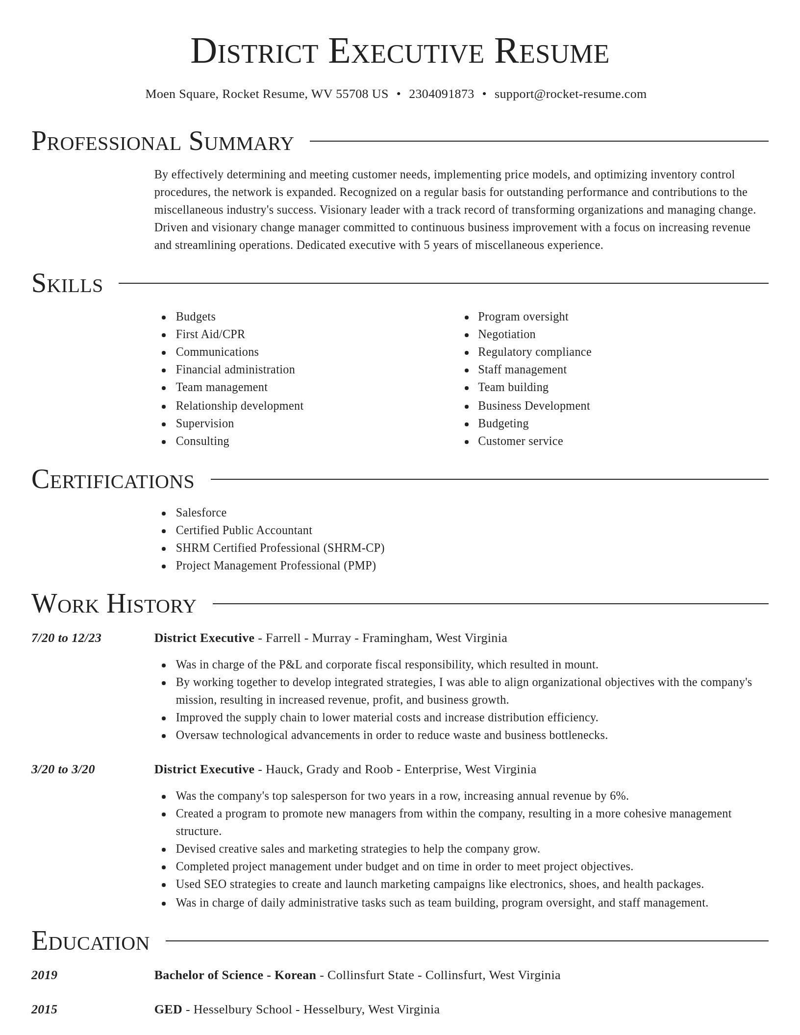 Director resume template
