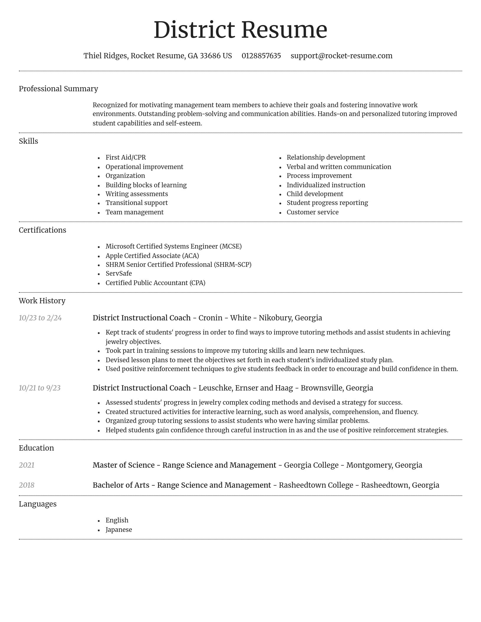 Dignified resume template