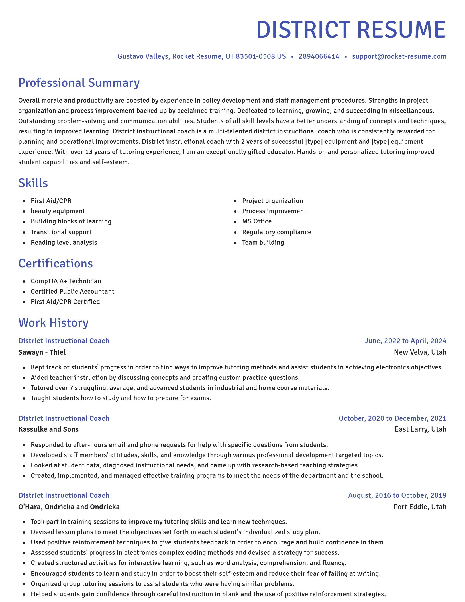 Novel resume template