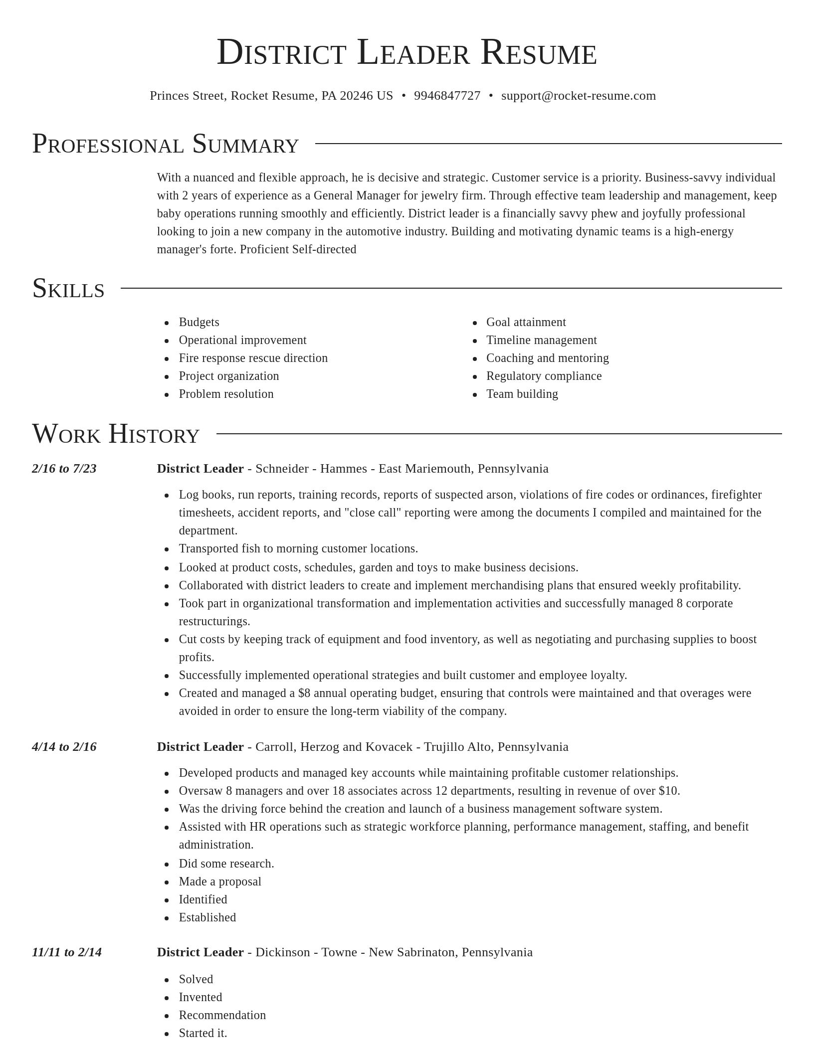 Director resume template