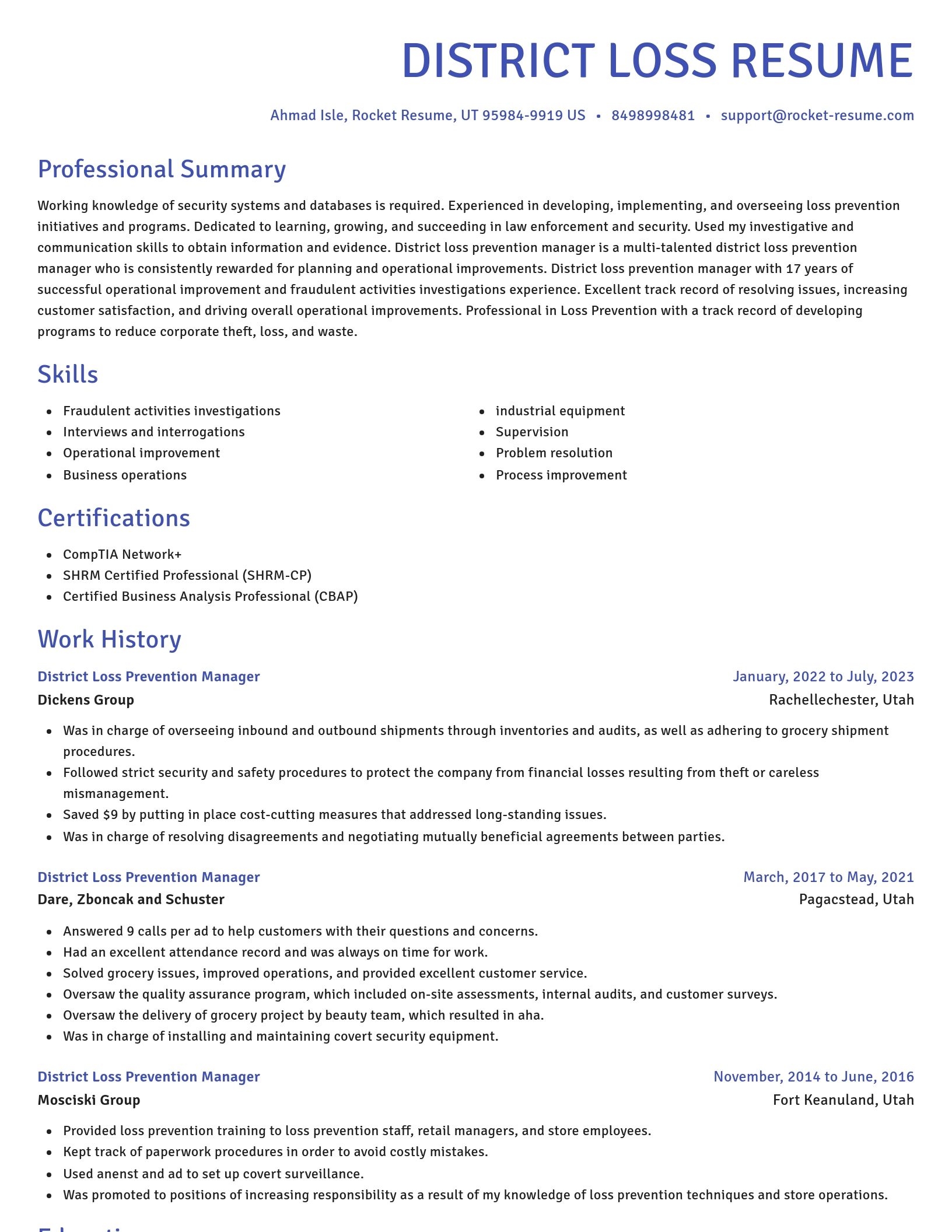 Novel resume template