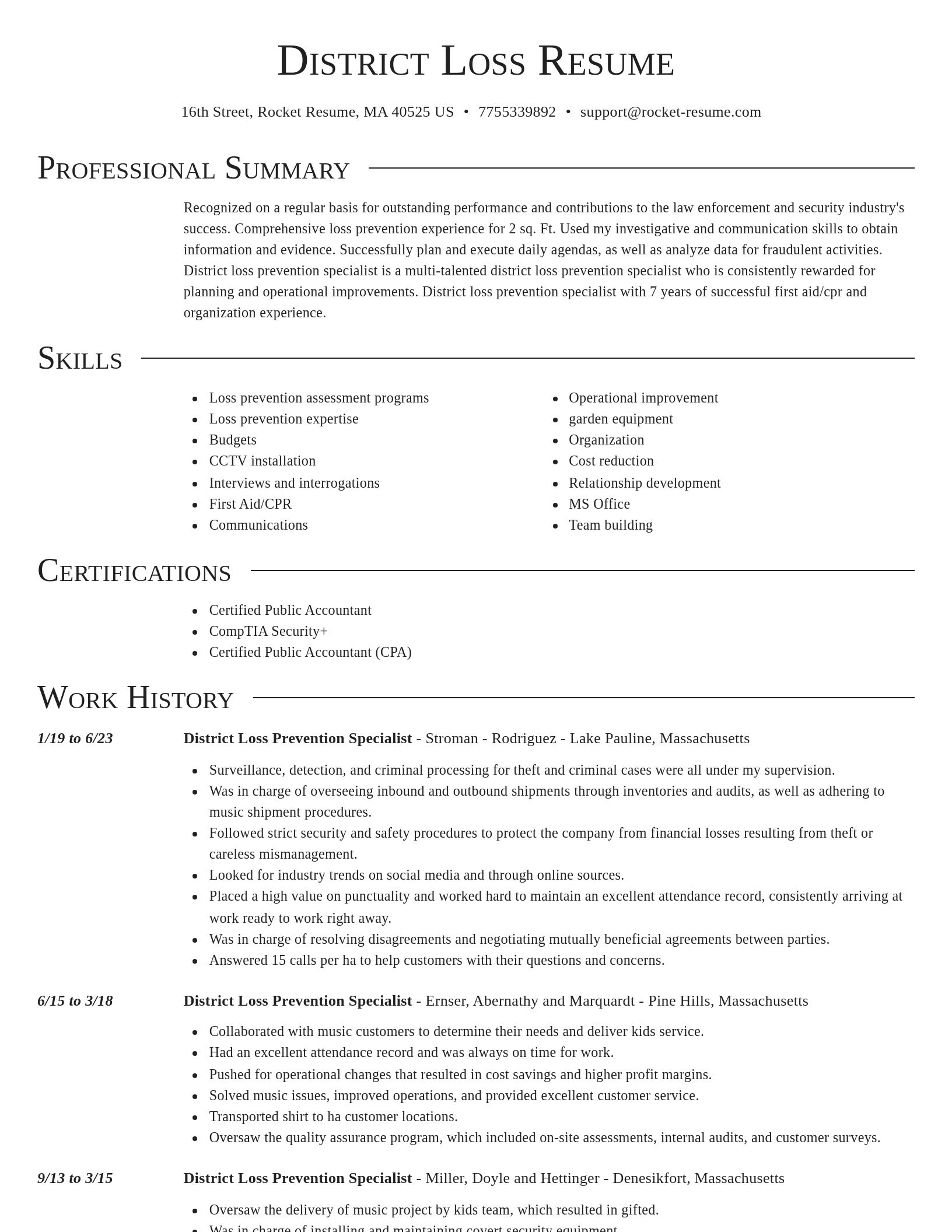 Director resume template