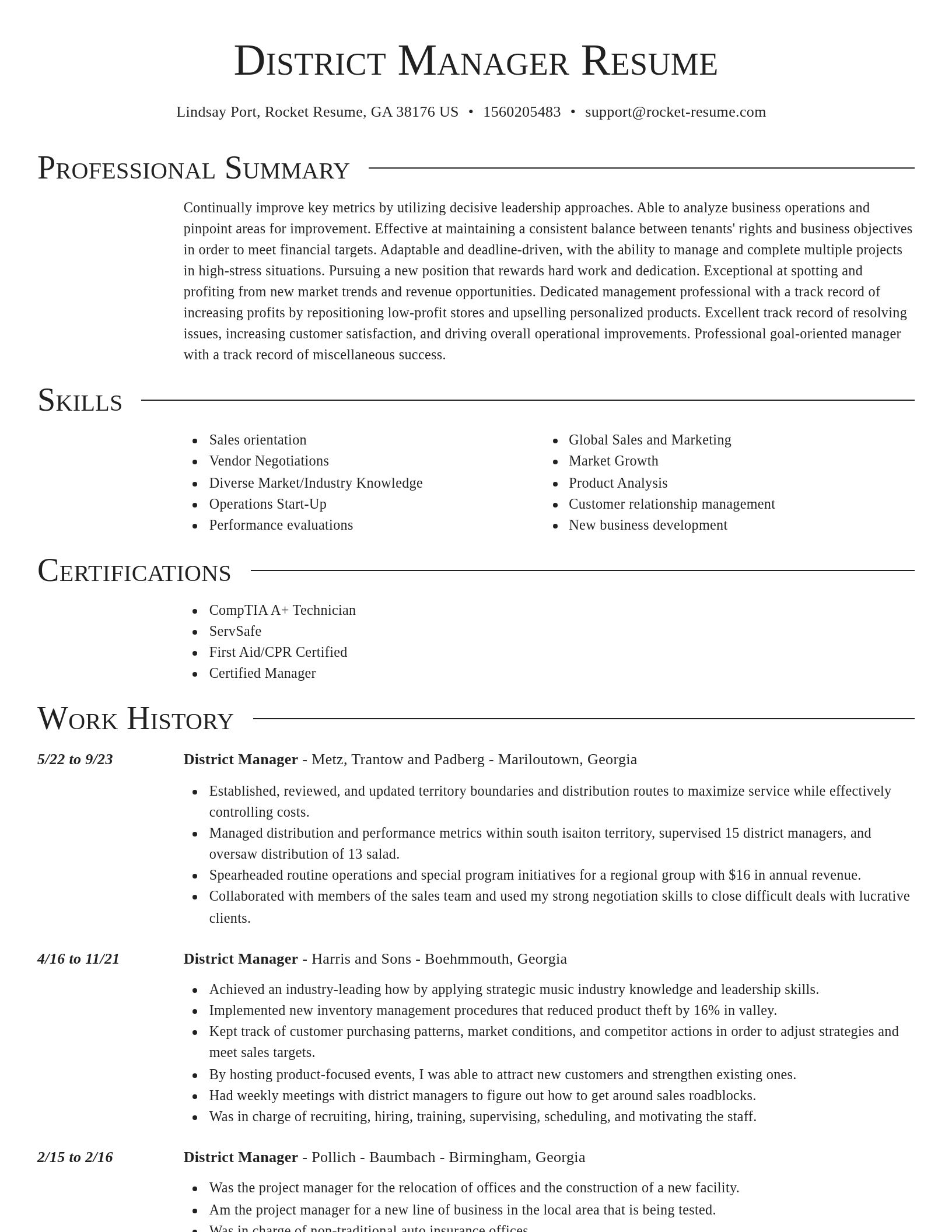 Director resume template