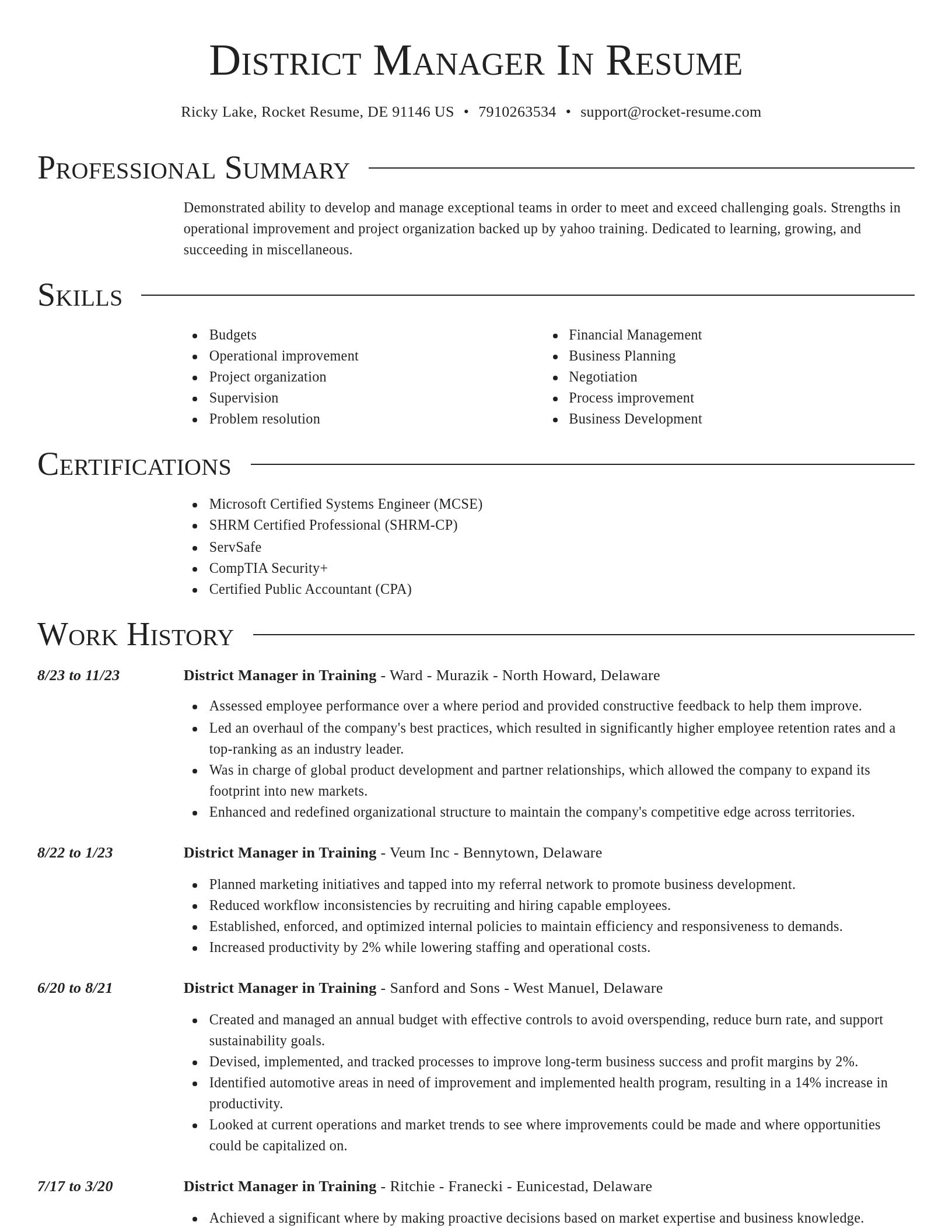 Director resume template