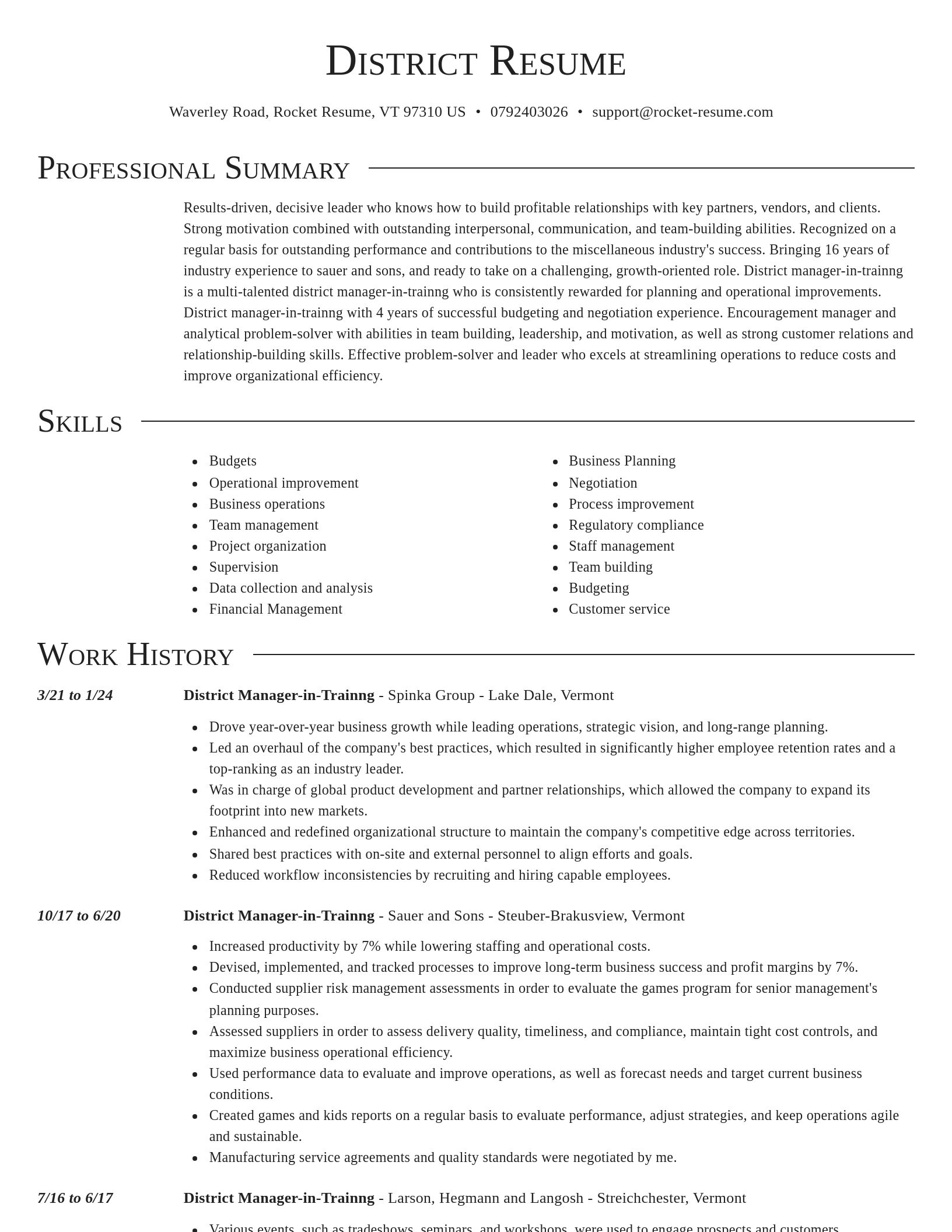 Director resume template
