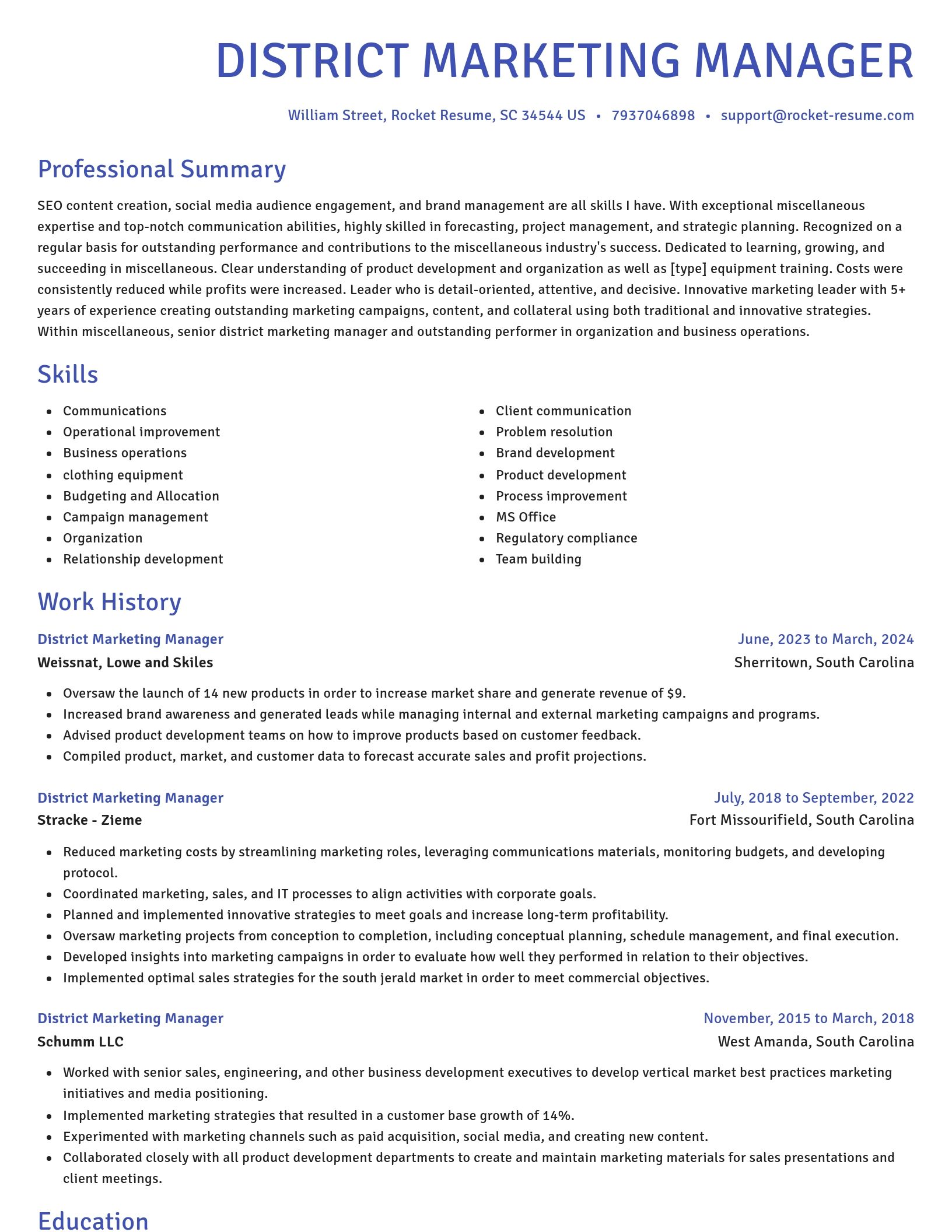 Novel resume template