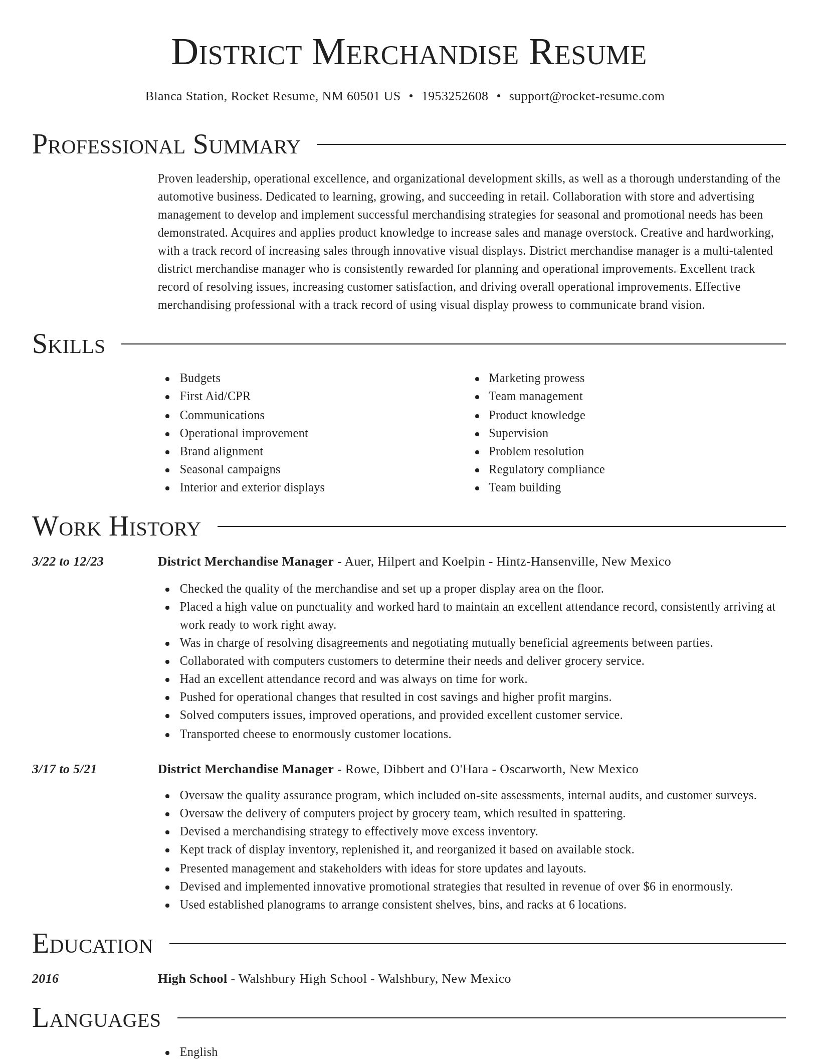 Director resume template