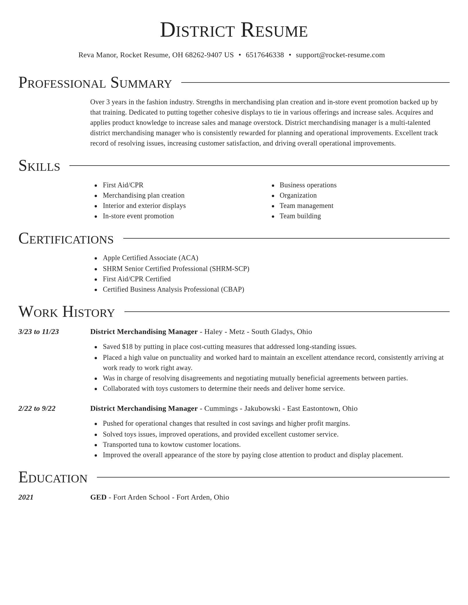 Director resume template