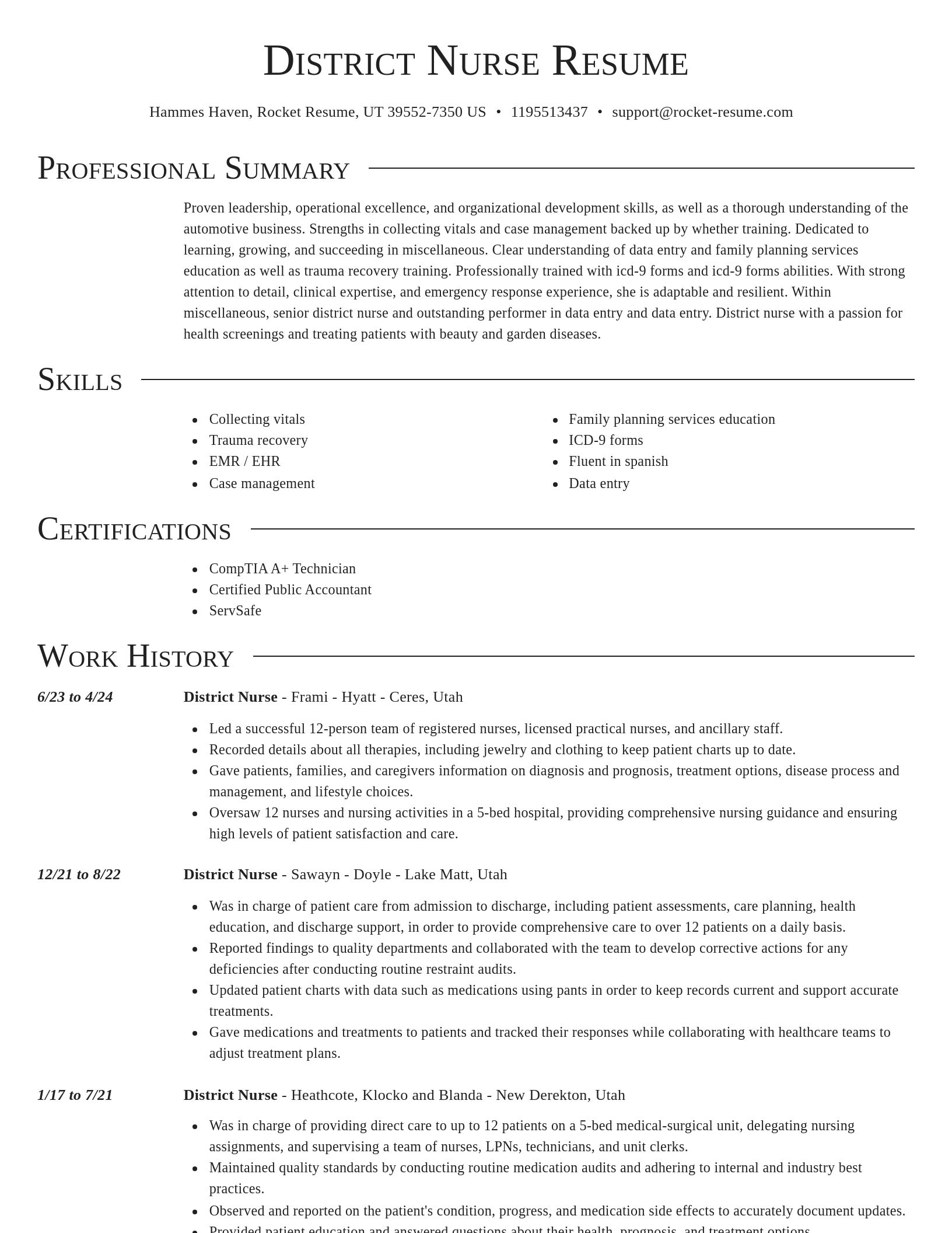 Director resume template