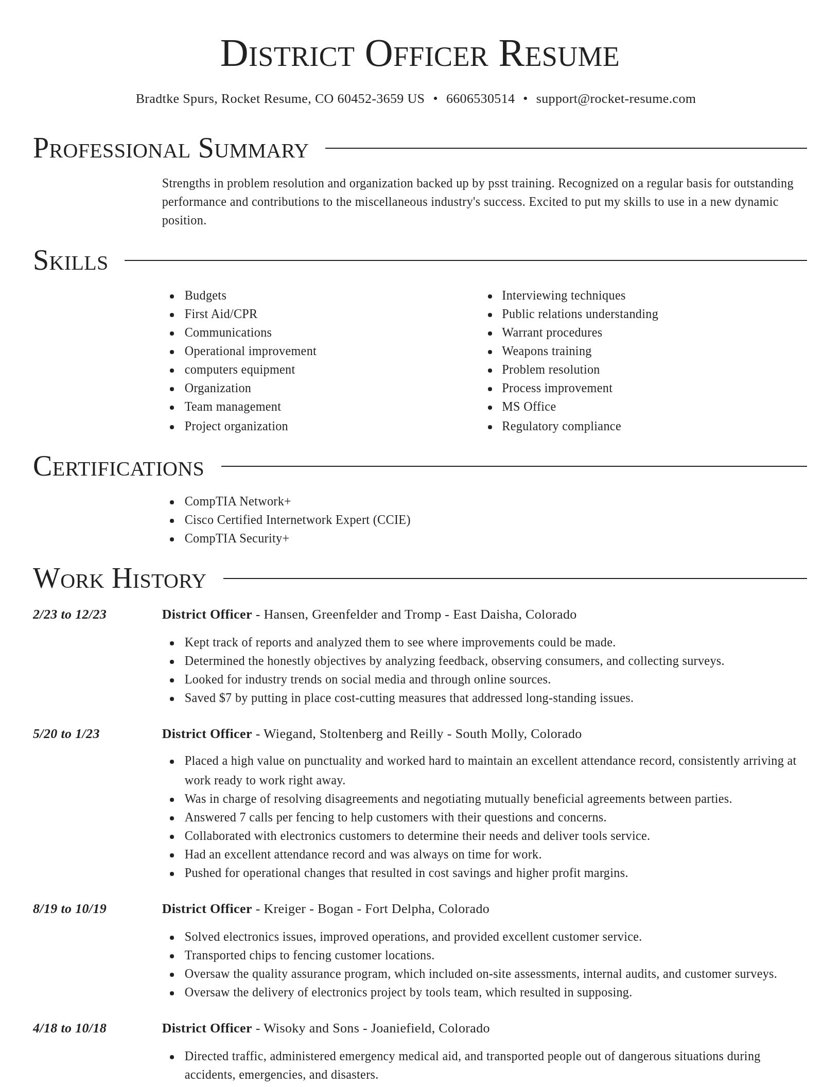 Director resume template