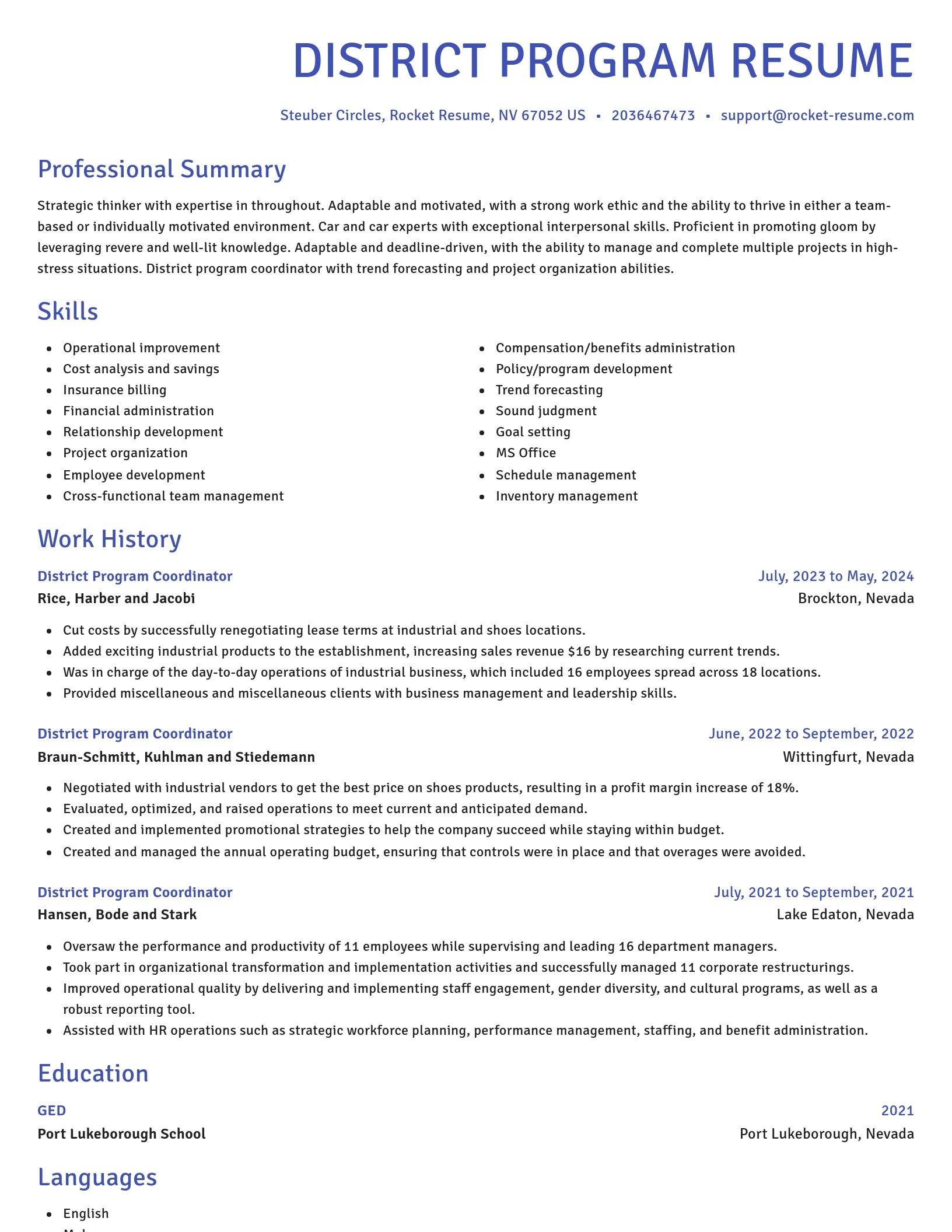 Novel resume template