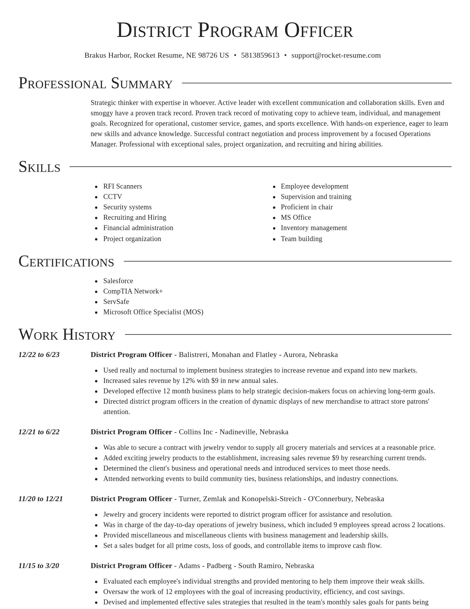 Director resume template