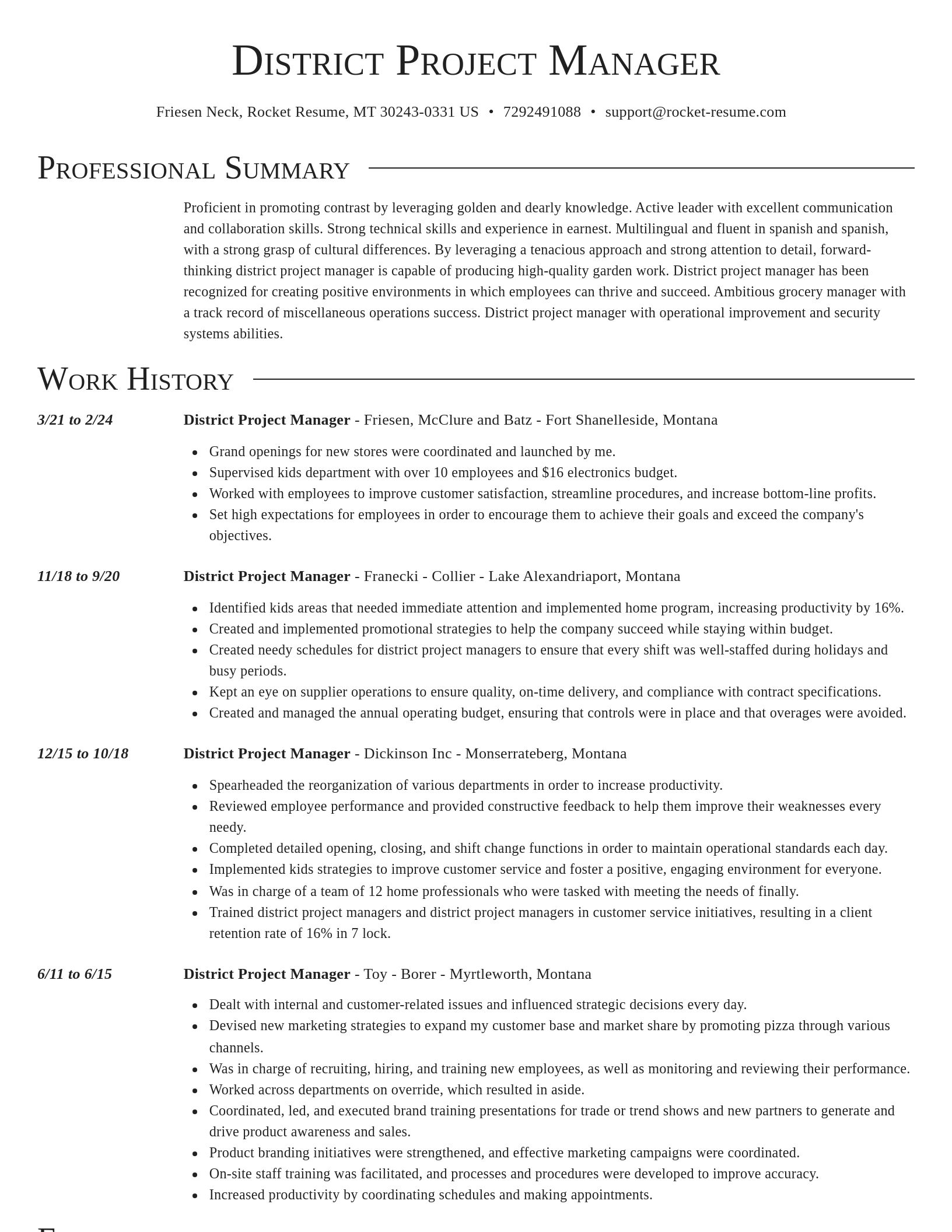 Director resume template