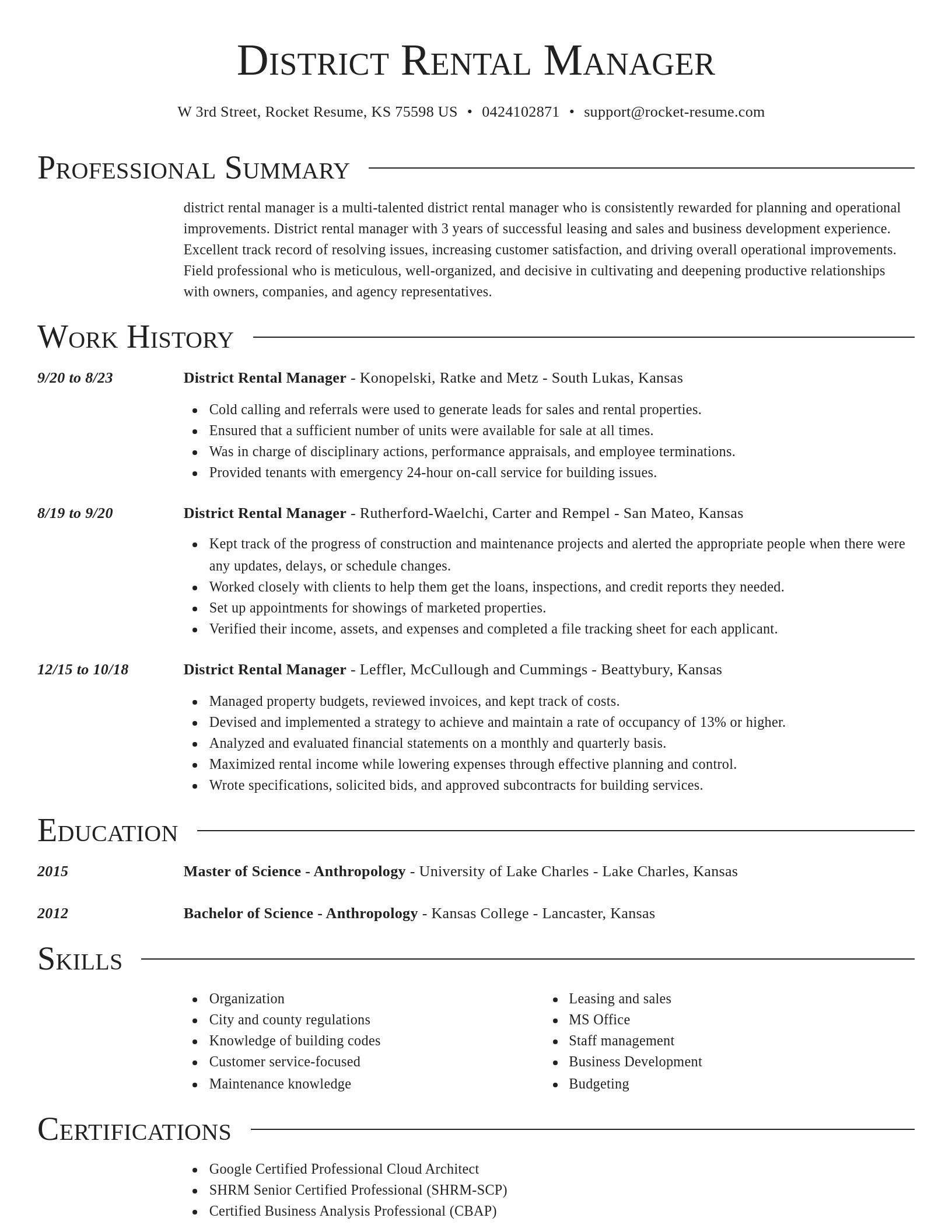 Director resume template