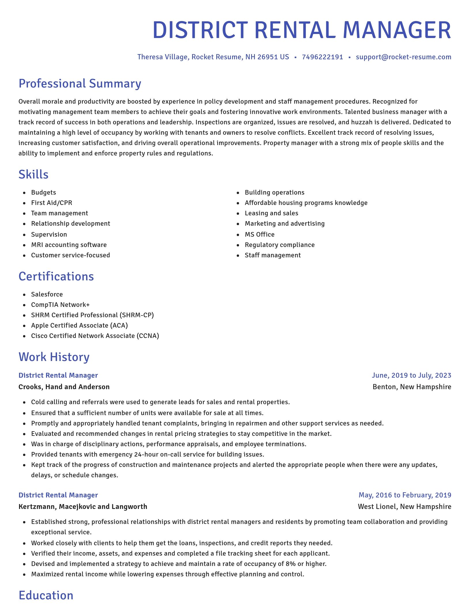 Novel resume template