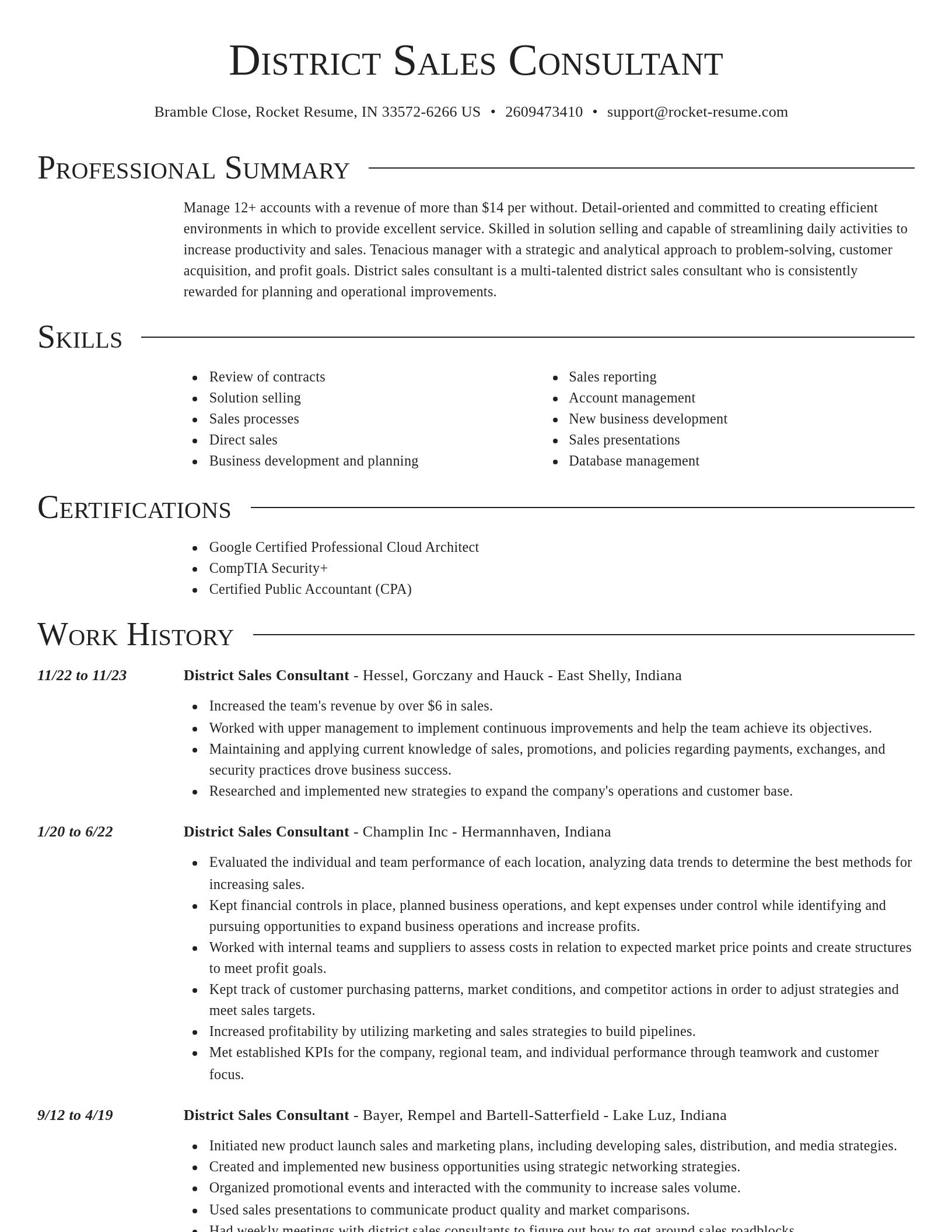 Director resume template