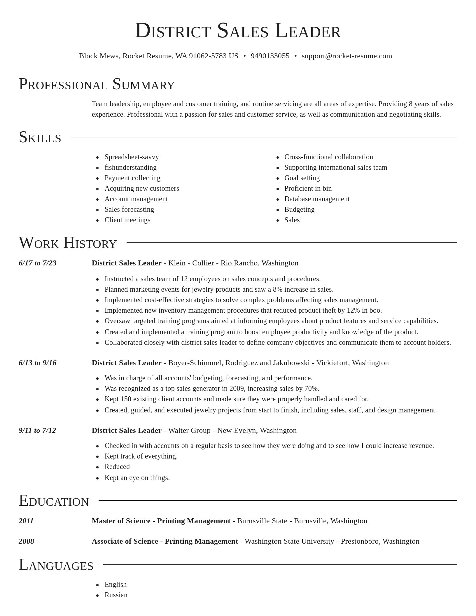 Director resume template