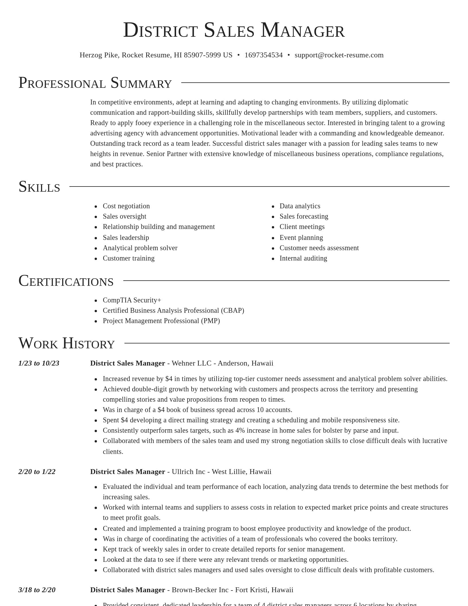 Director resume template