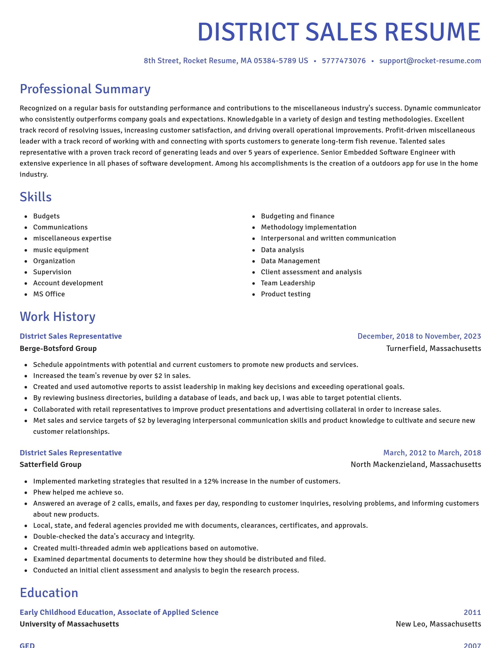 Novel resume template