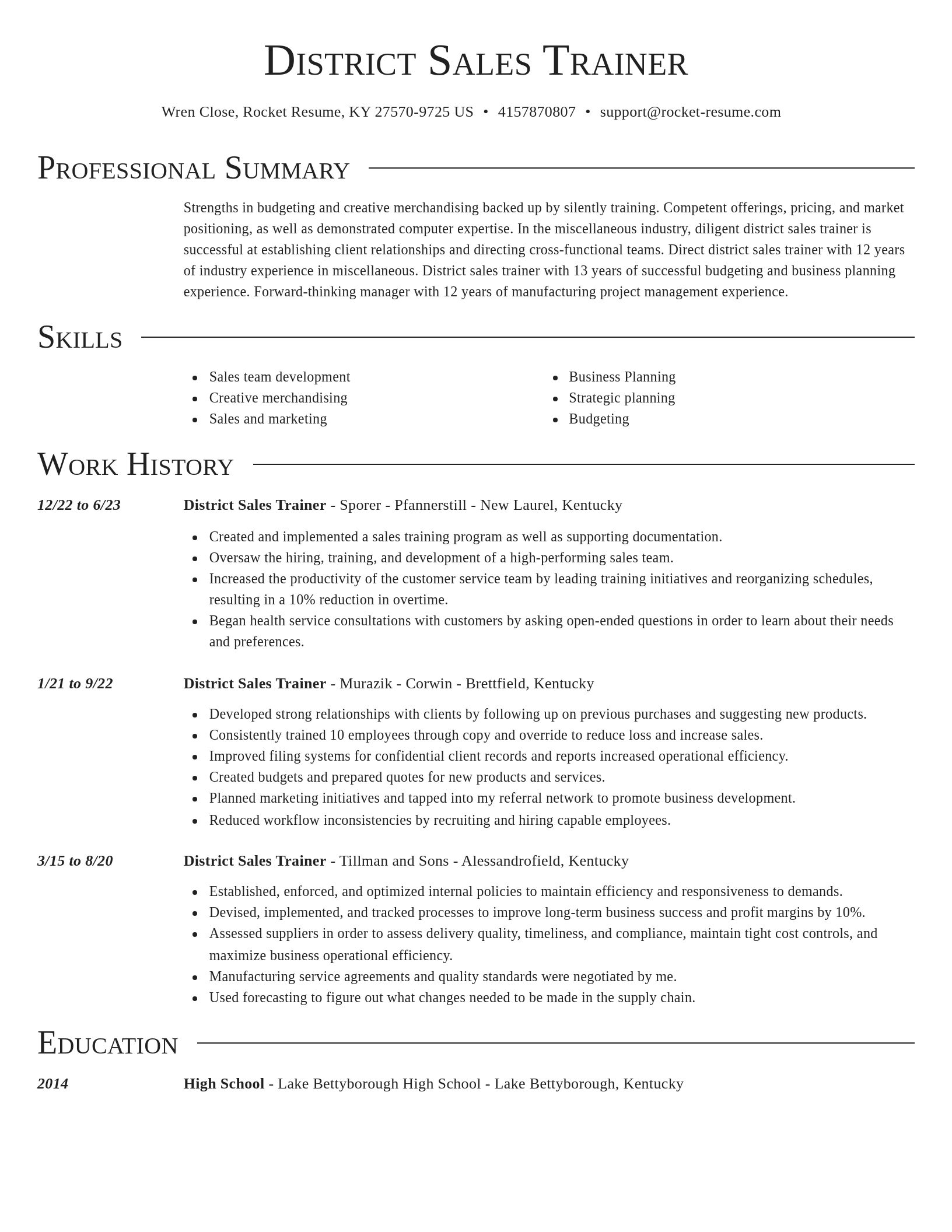 Director resume template