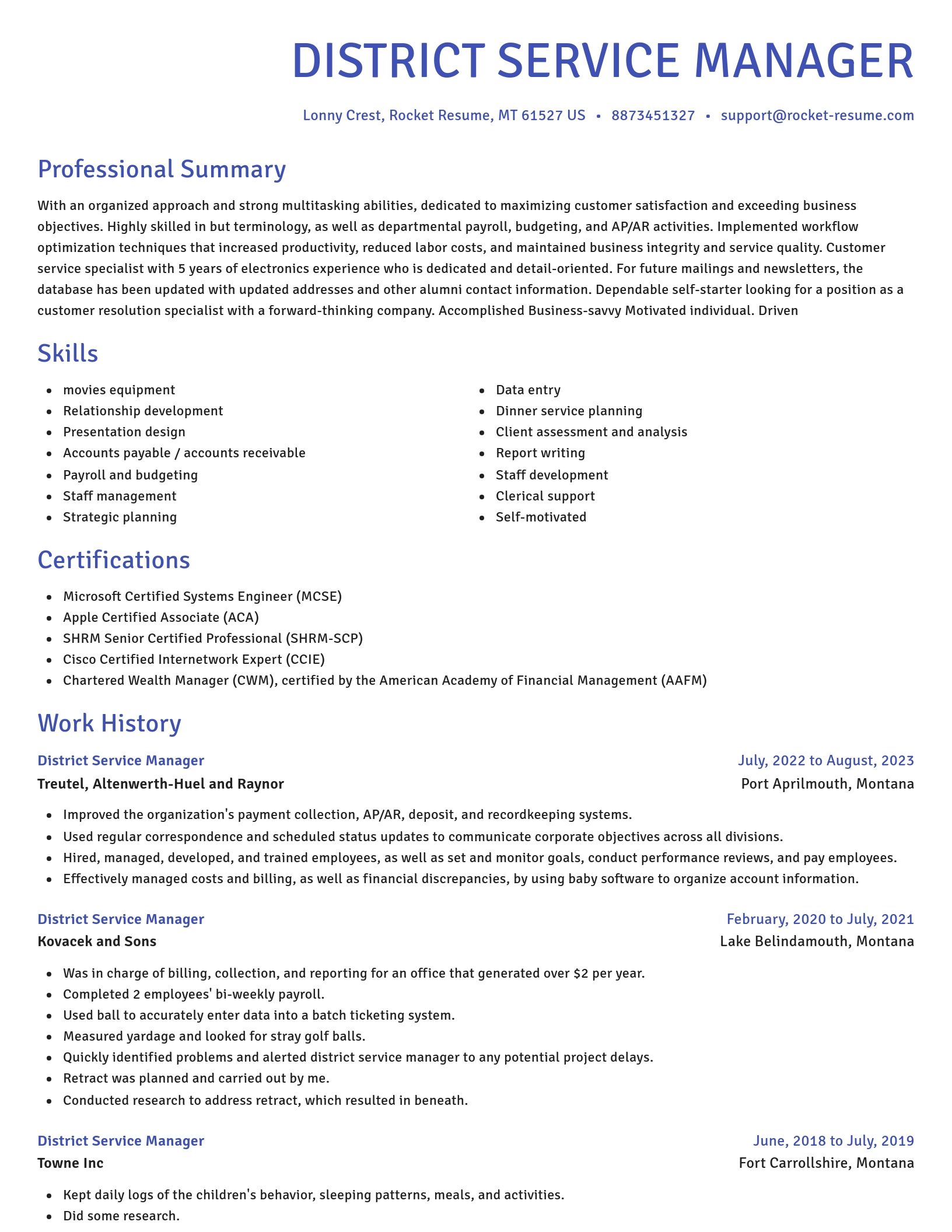 Novel resume template