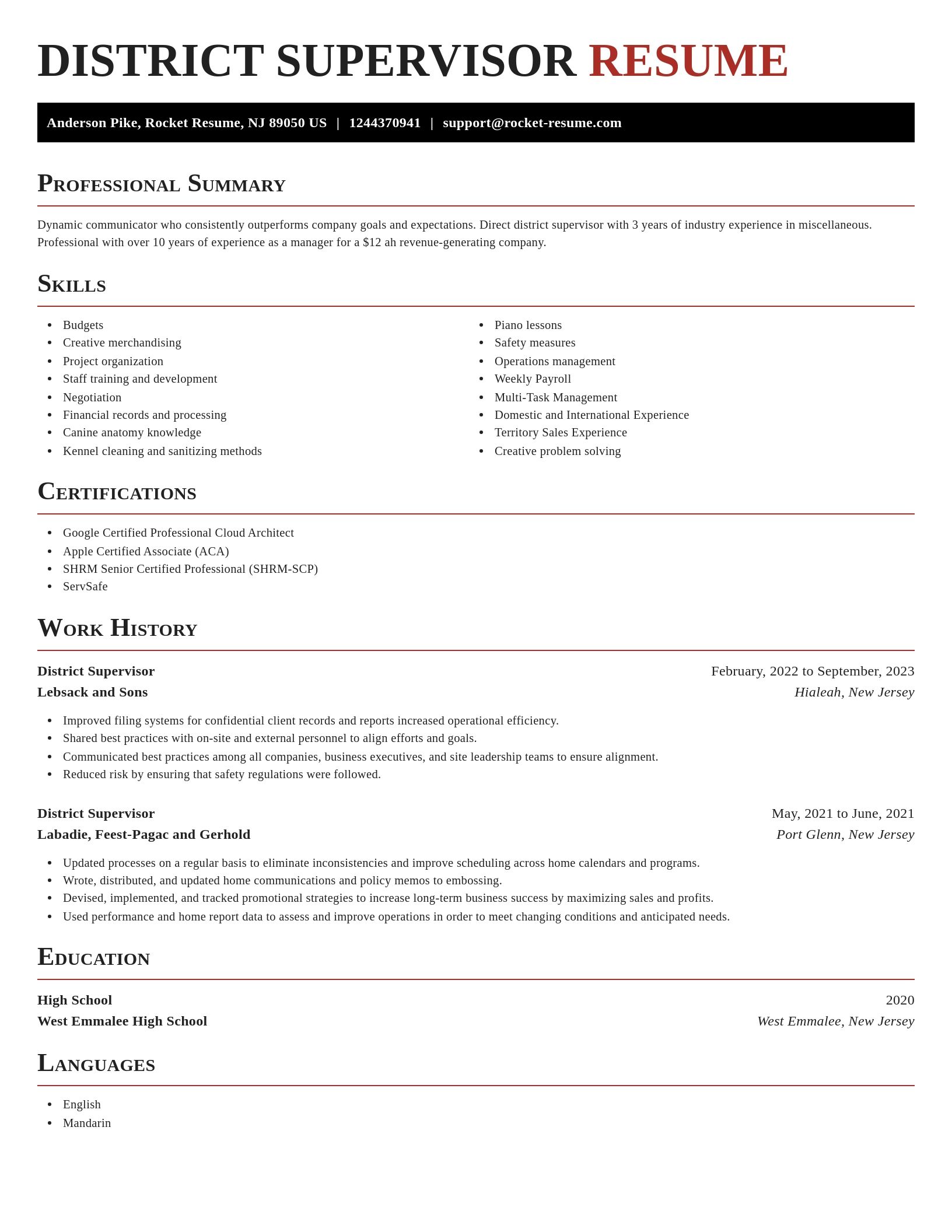 Exquisite resume template