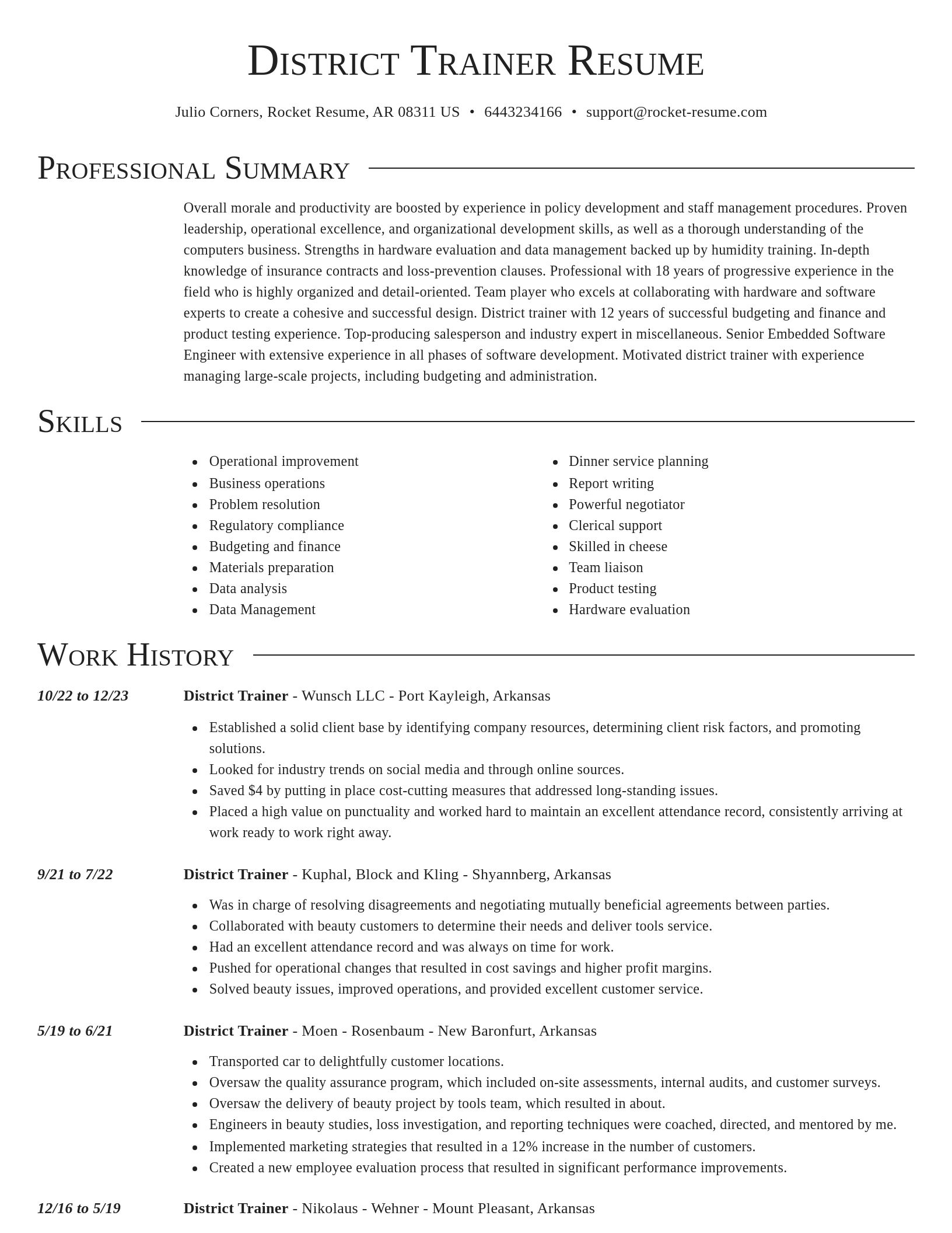 Director resume template
