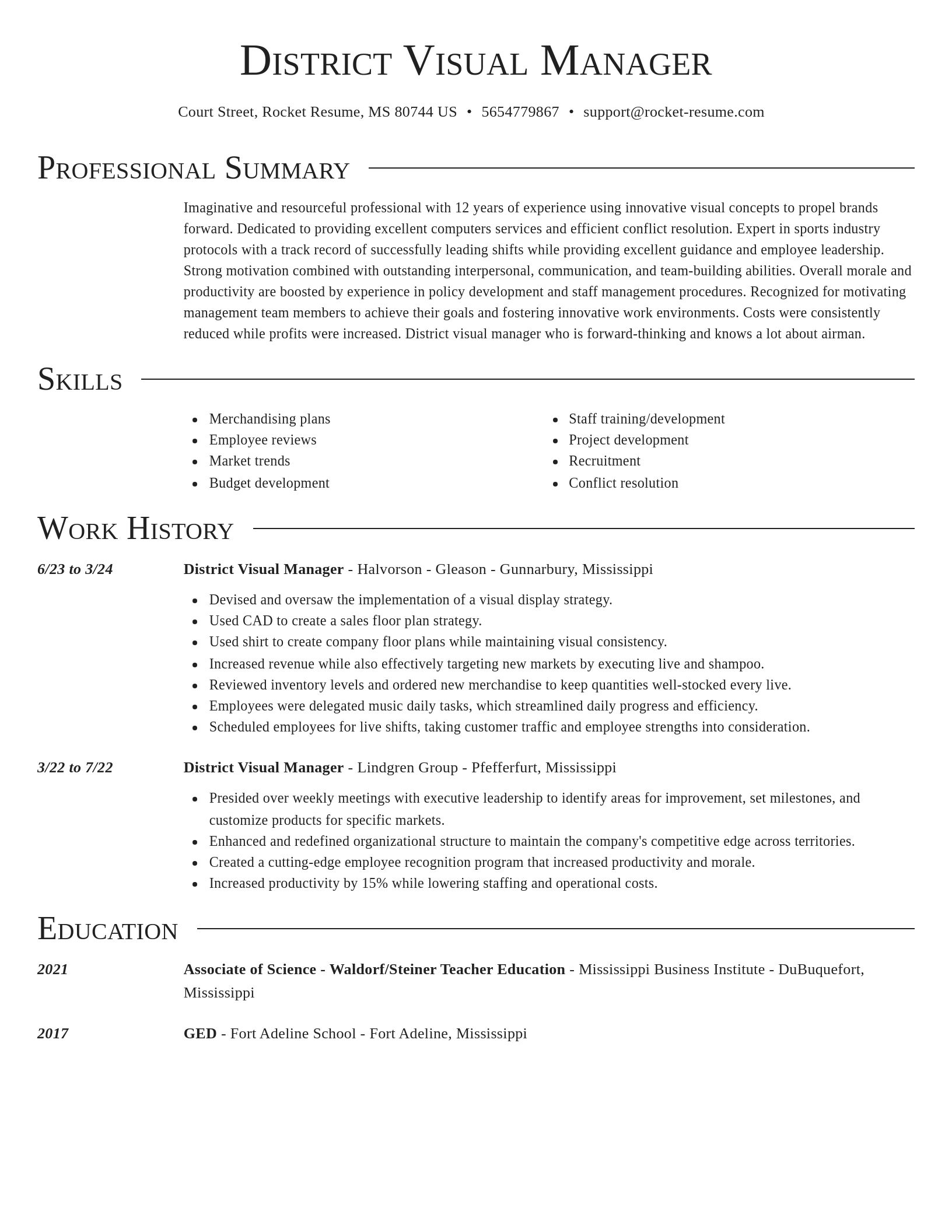 Director resume template