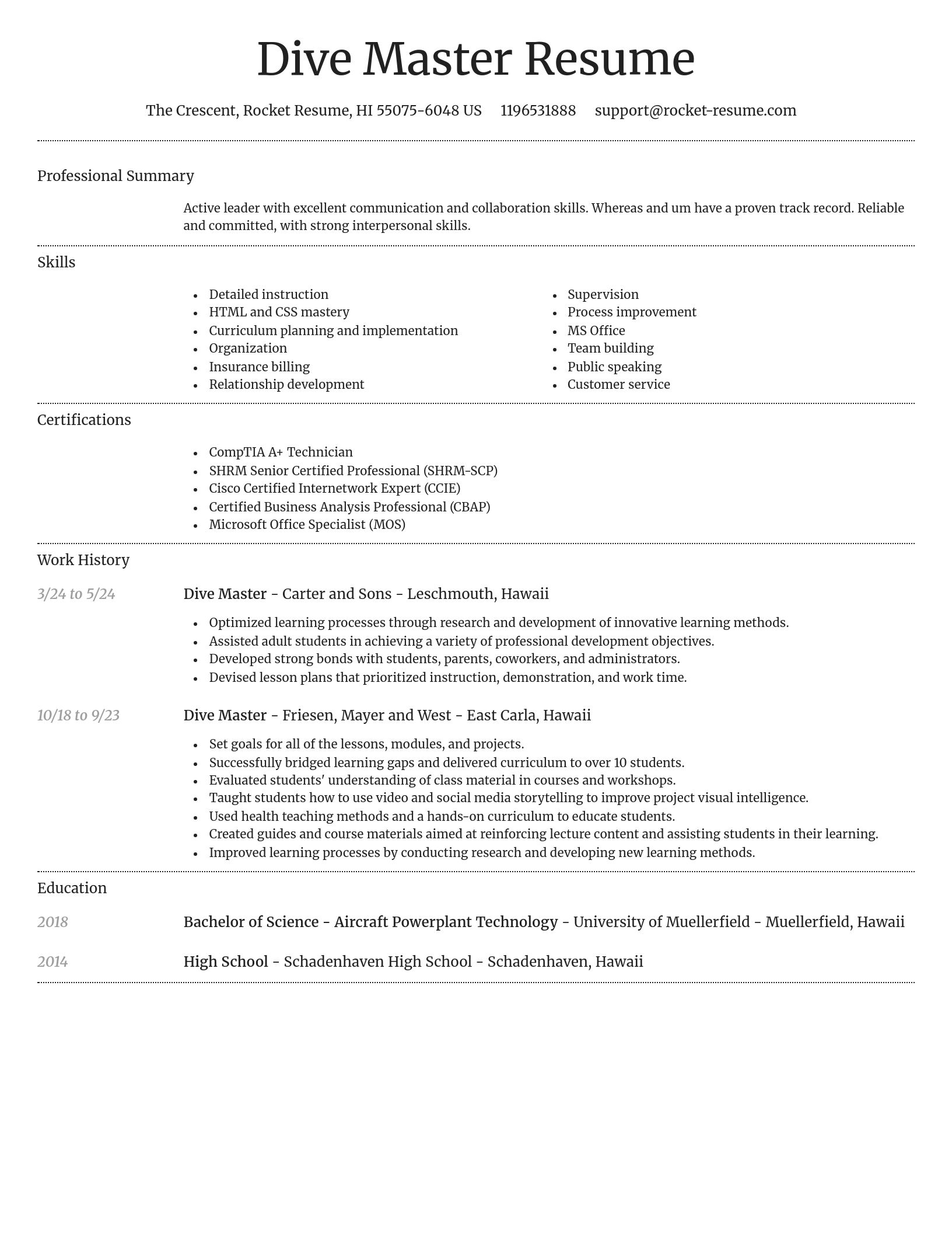 Dignified resume template