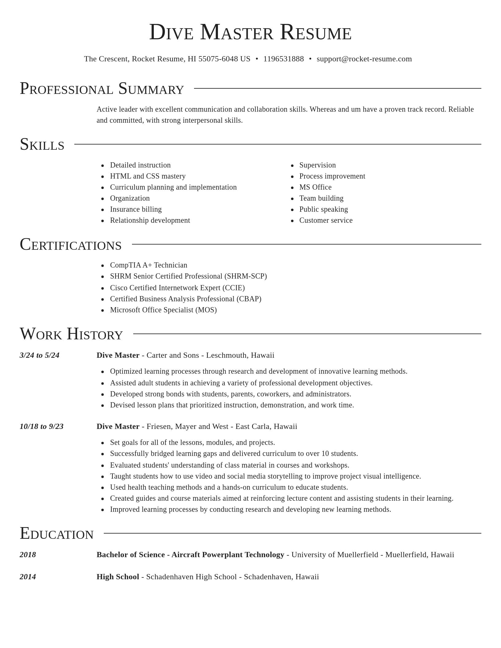 Director resume template
